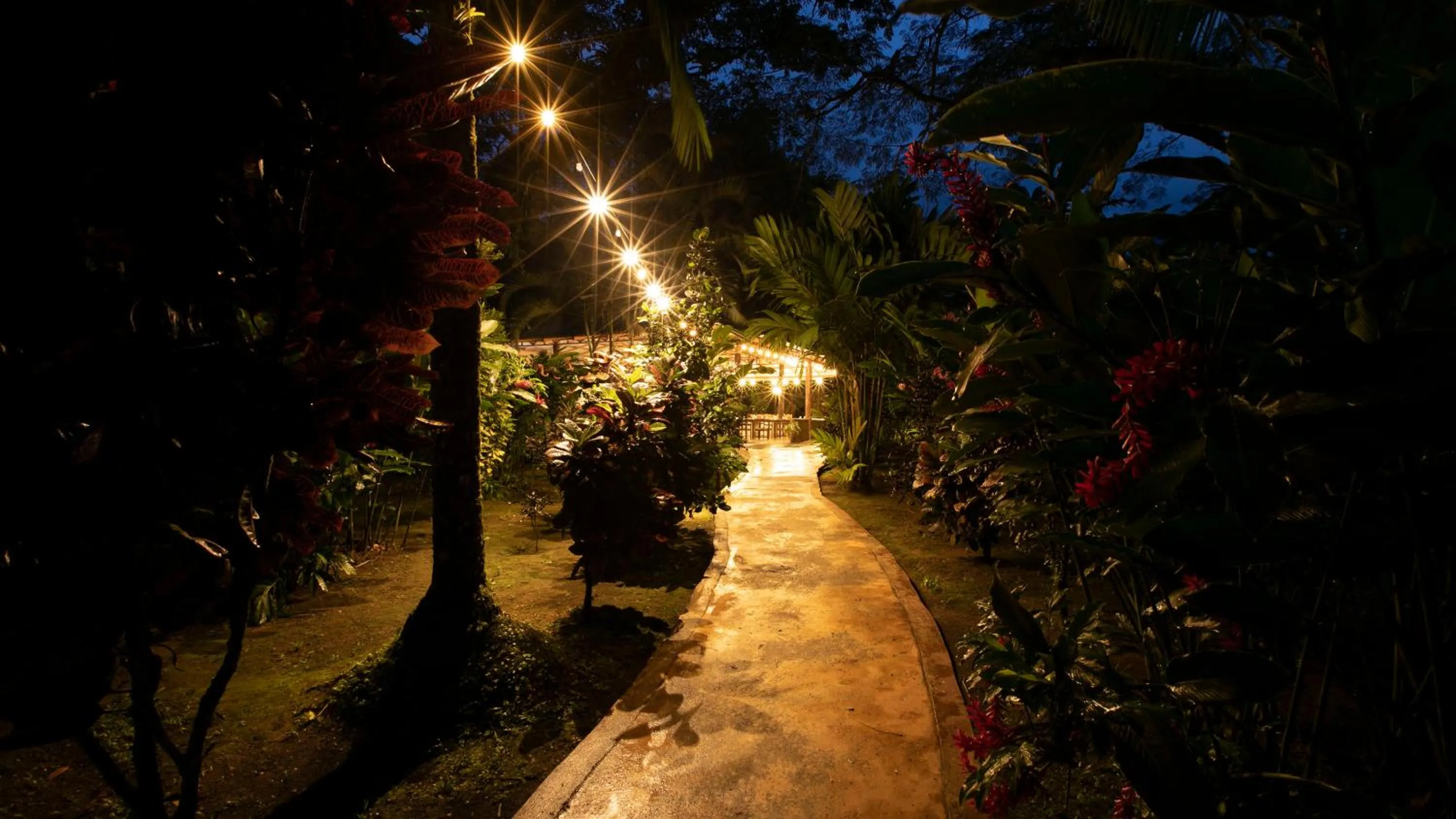 Restaurant/places to eat in Orquideas Boutique Hotel