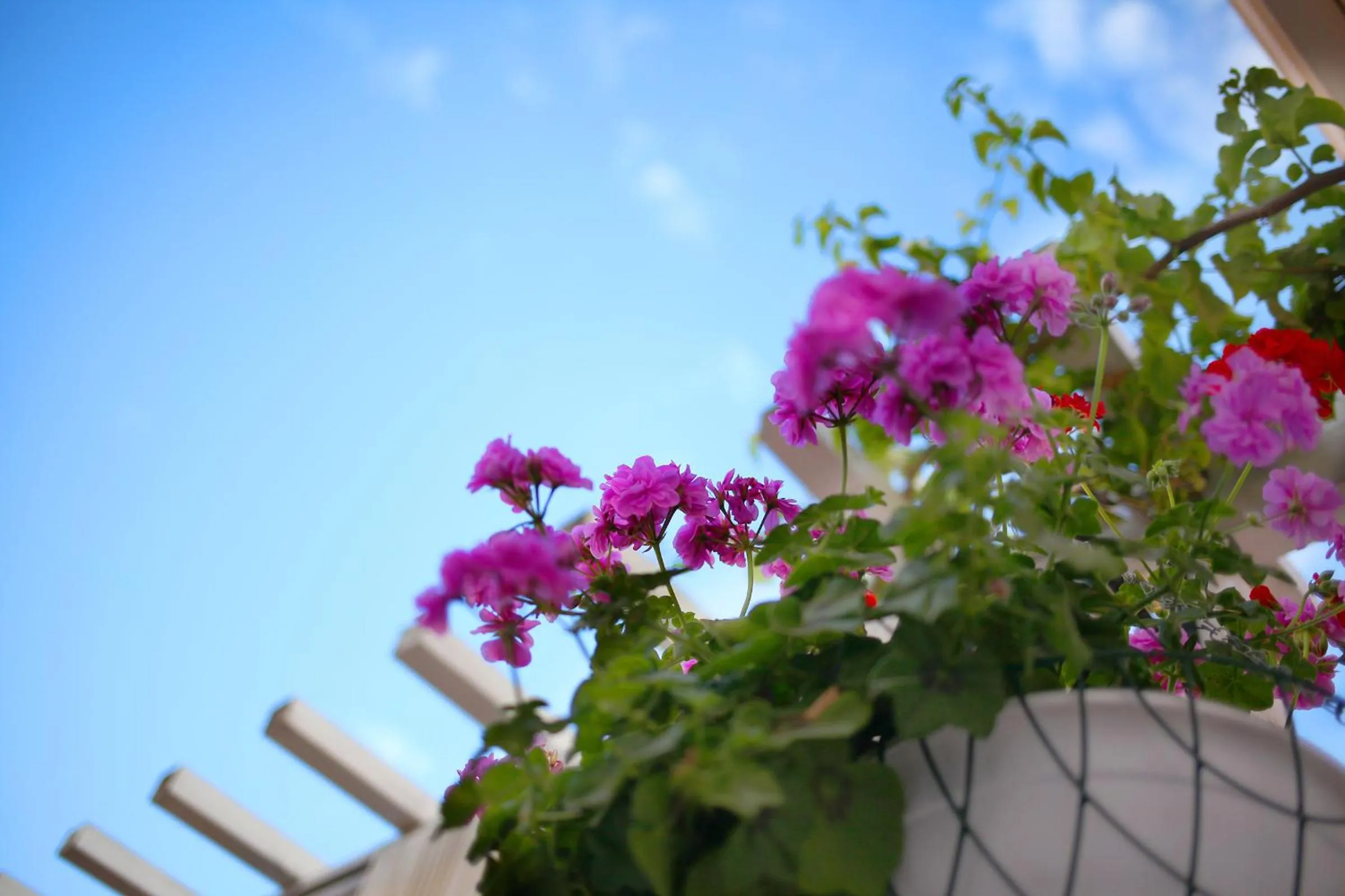 Other in Hotel Opera