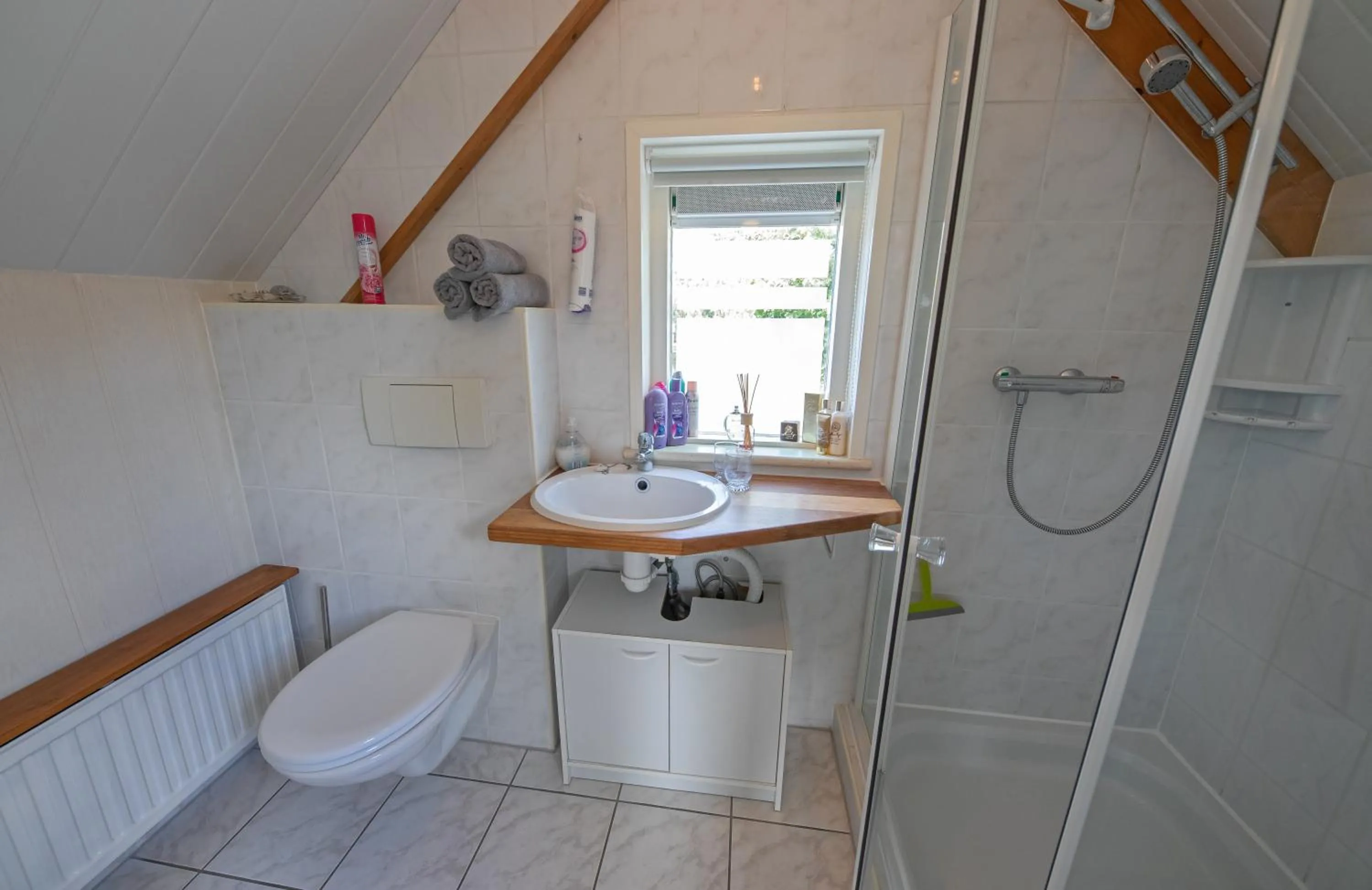 Shower in Eendrachtweg 4