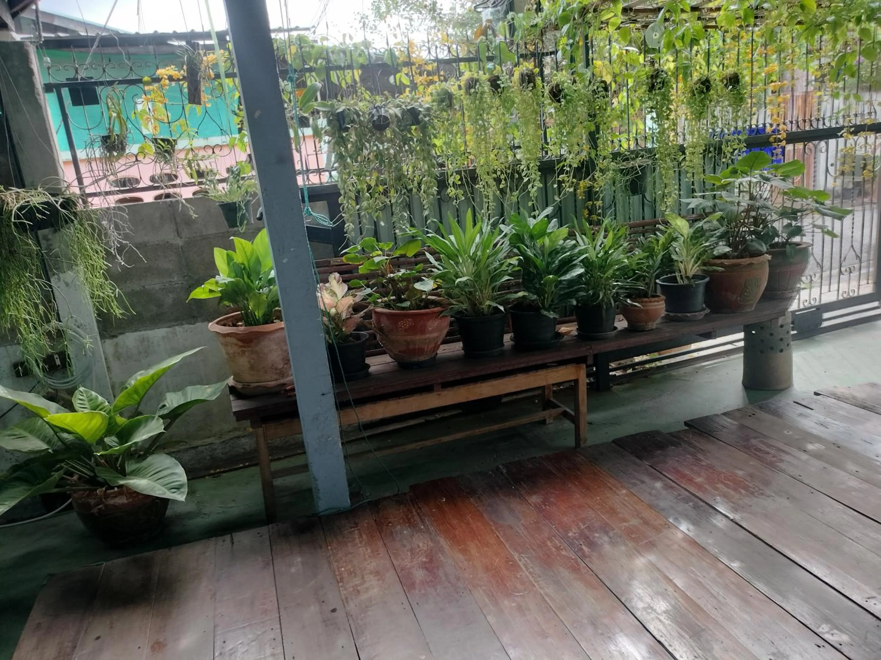 View (from property/room) in Canaan