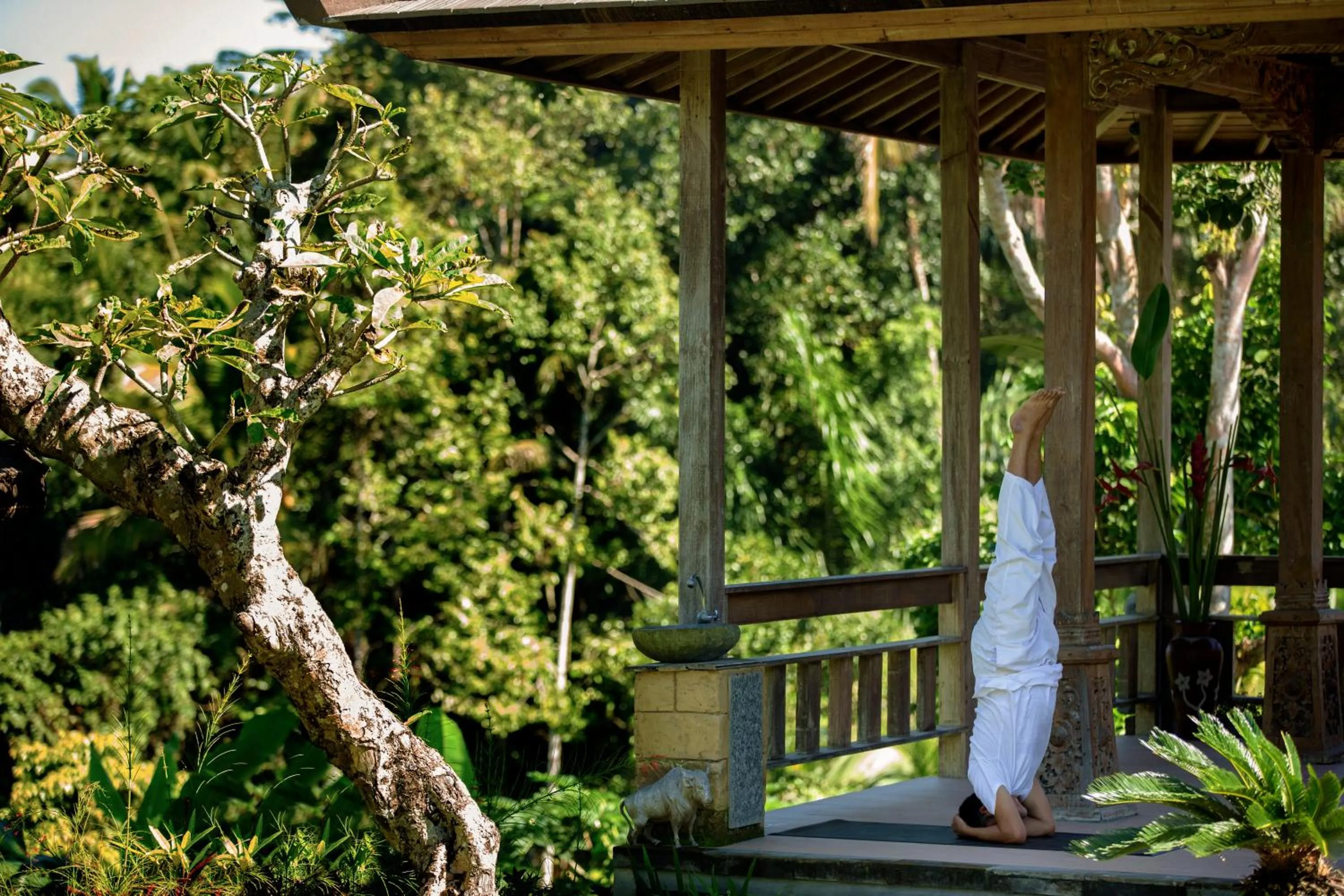 Activities in Pondok Sebatu Villa