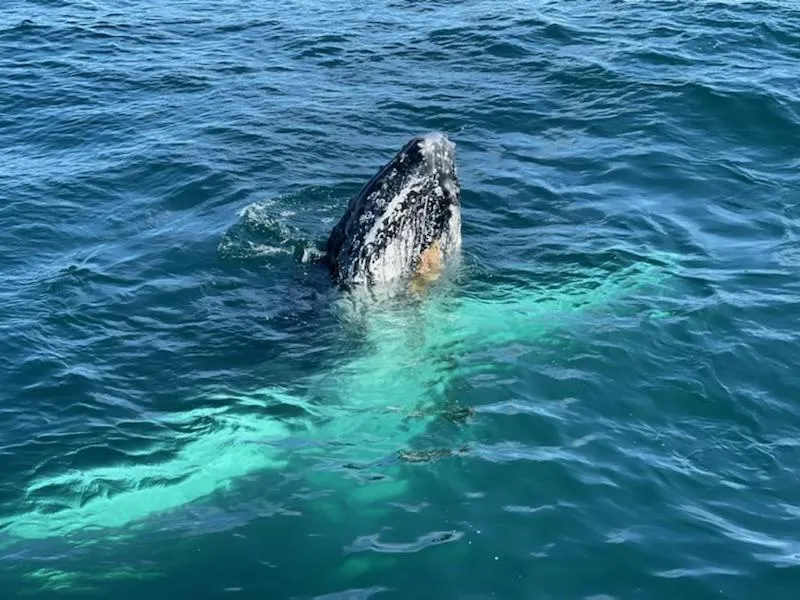 Natural landscape in Eden Motel