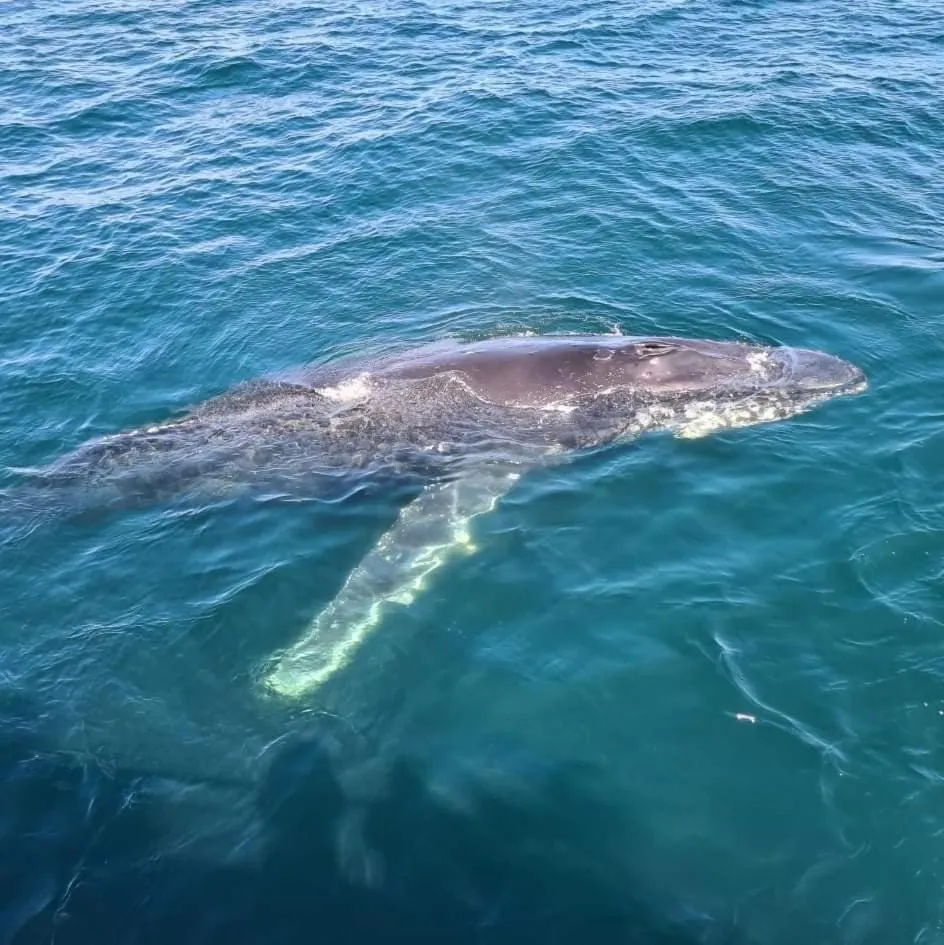 Natural landscape in Eden Motel