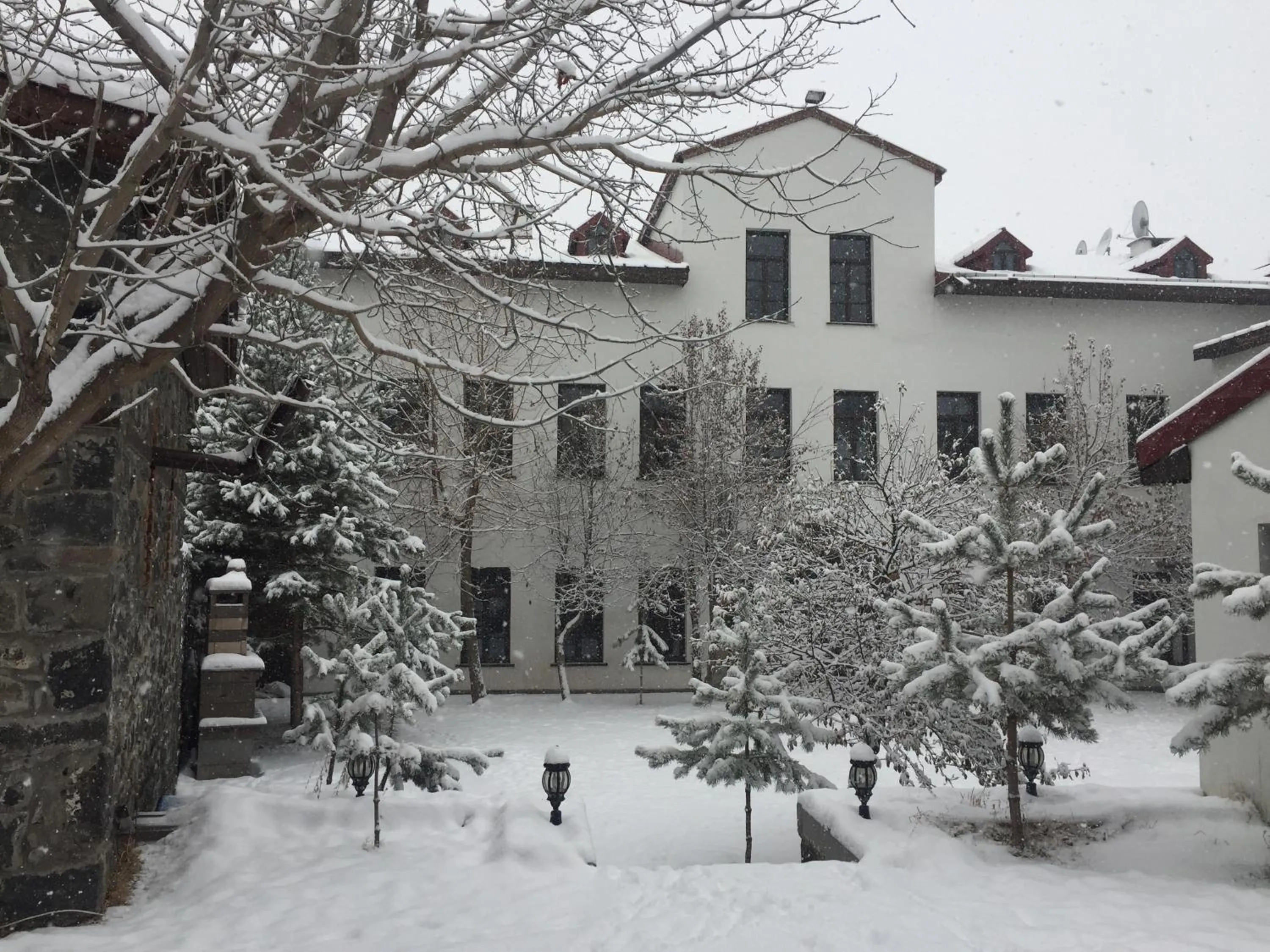Garden view in Cheltikov Hotel