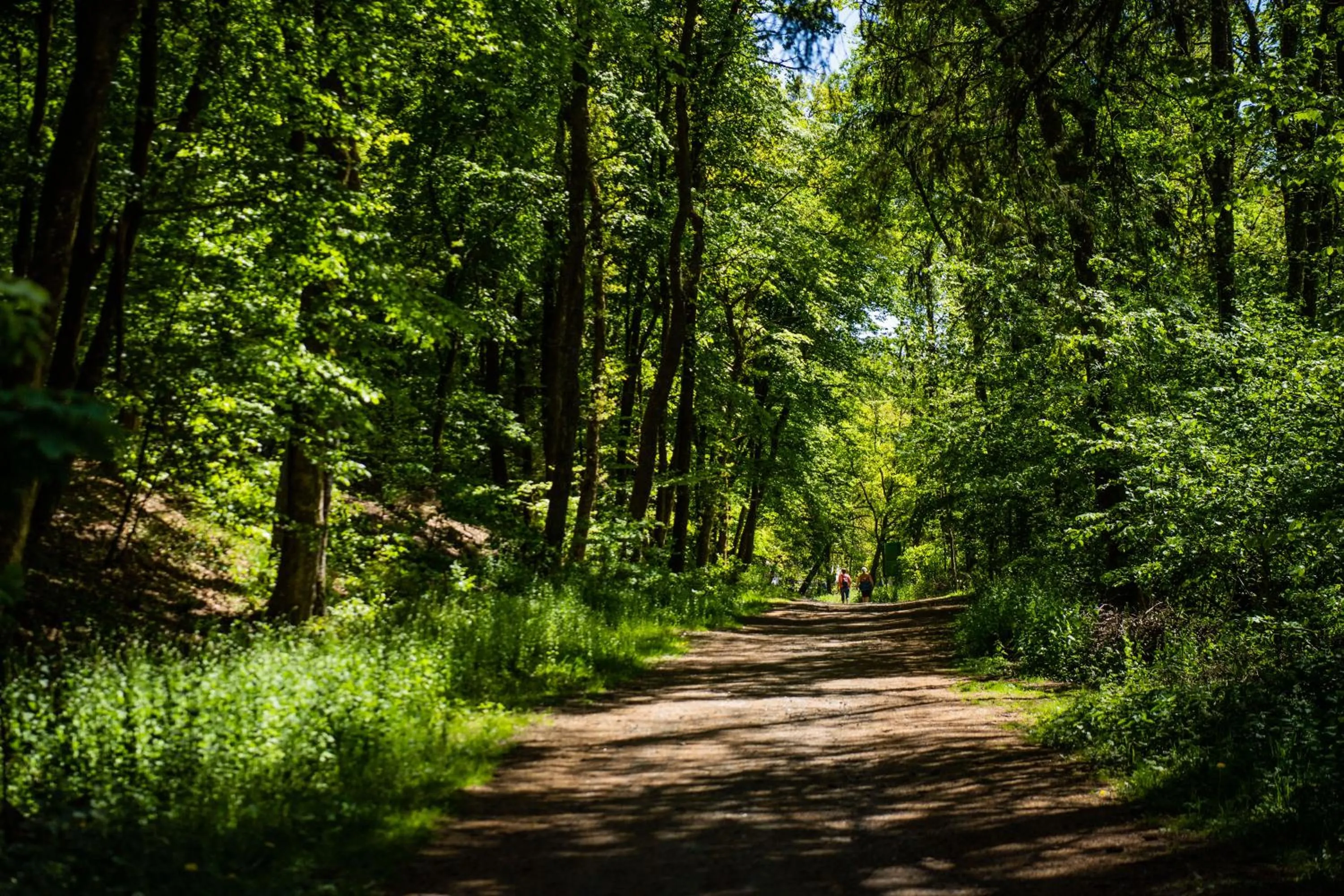 Spring in Hôtel Les Ardillières du Pont d'Oye
