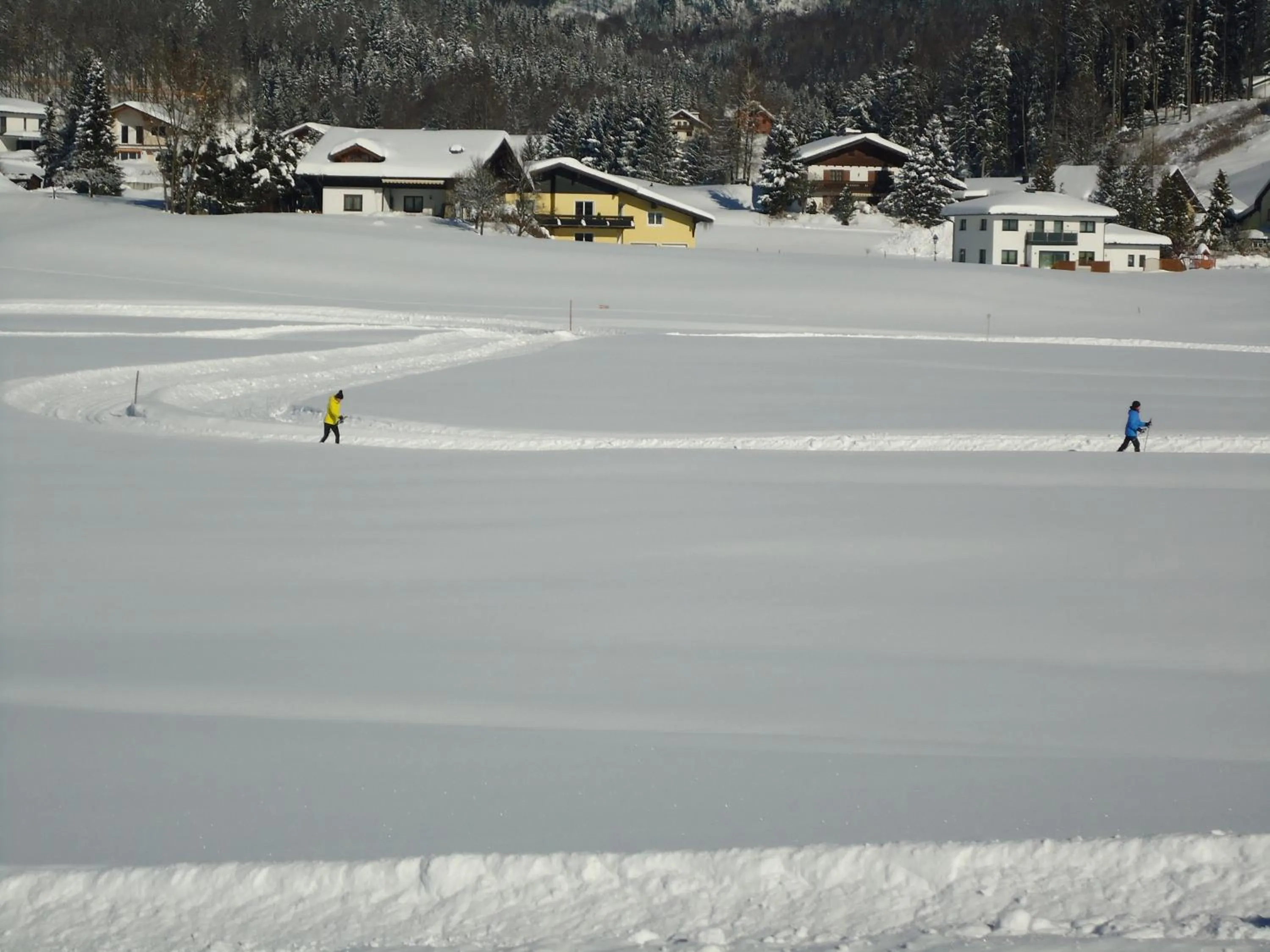 Activities in Pension Wald