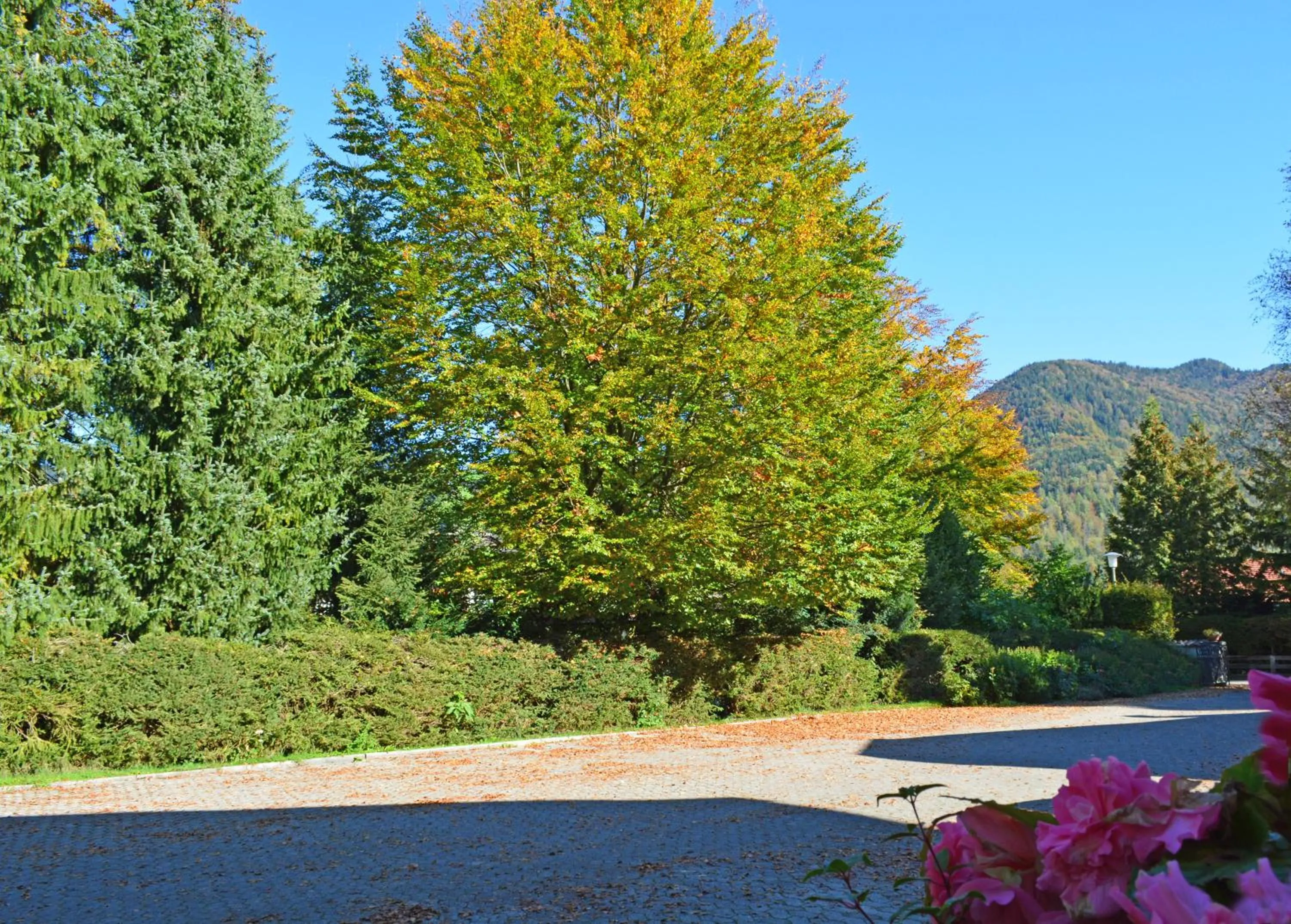 Mountain view in Hotel Garni Sonnenhof