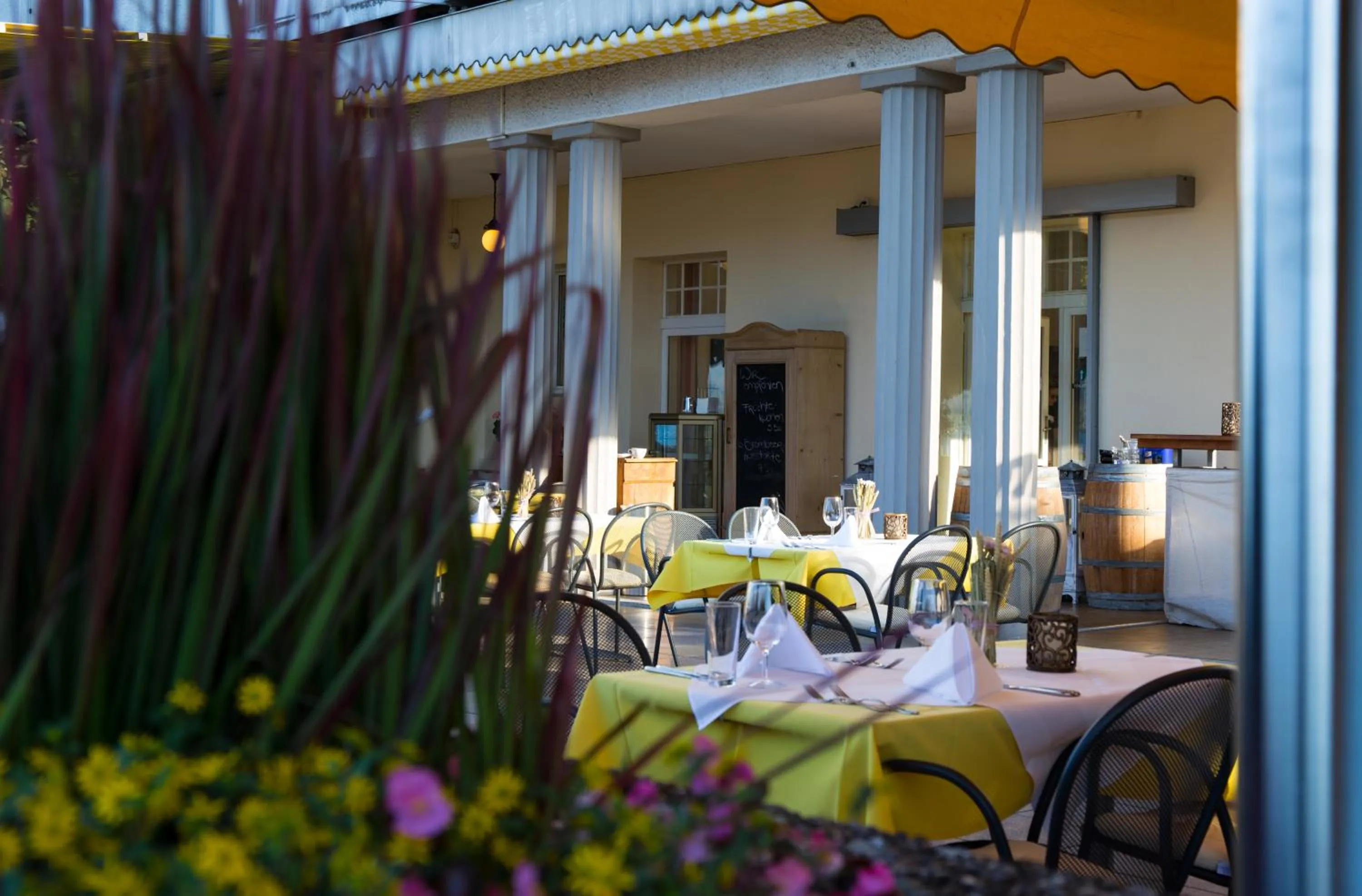 Balcony/Terrace in Hotel Restaurant Bellevue au Lac