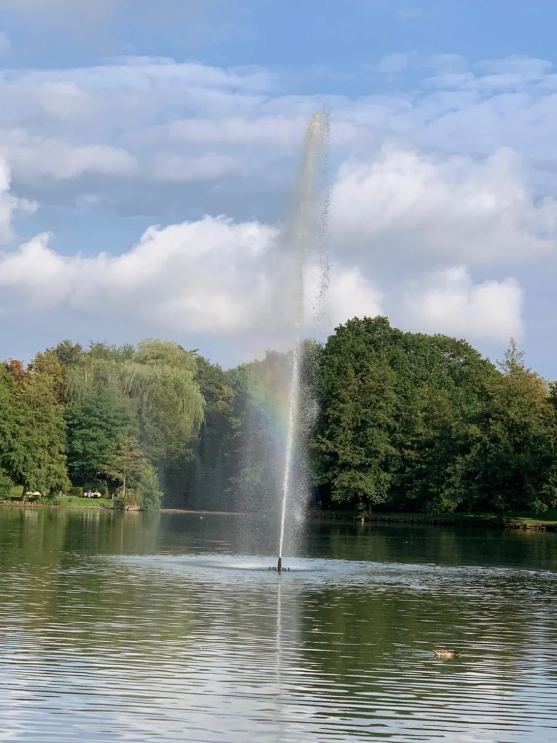 Nearby landmark in Teutonia Hotel