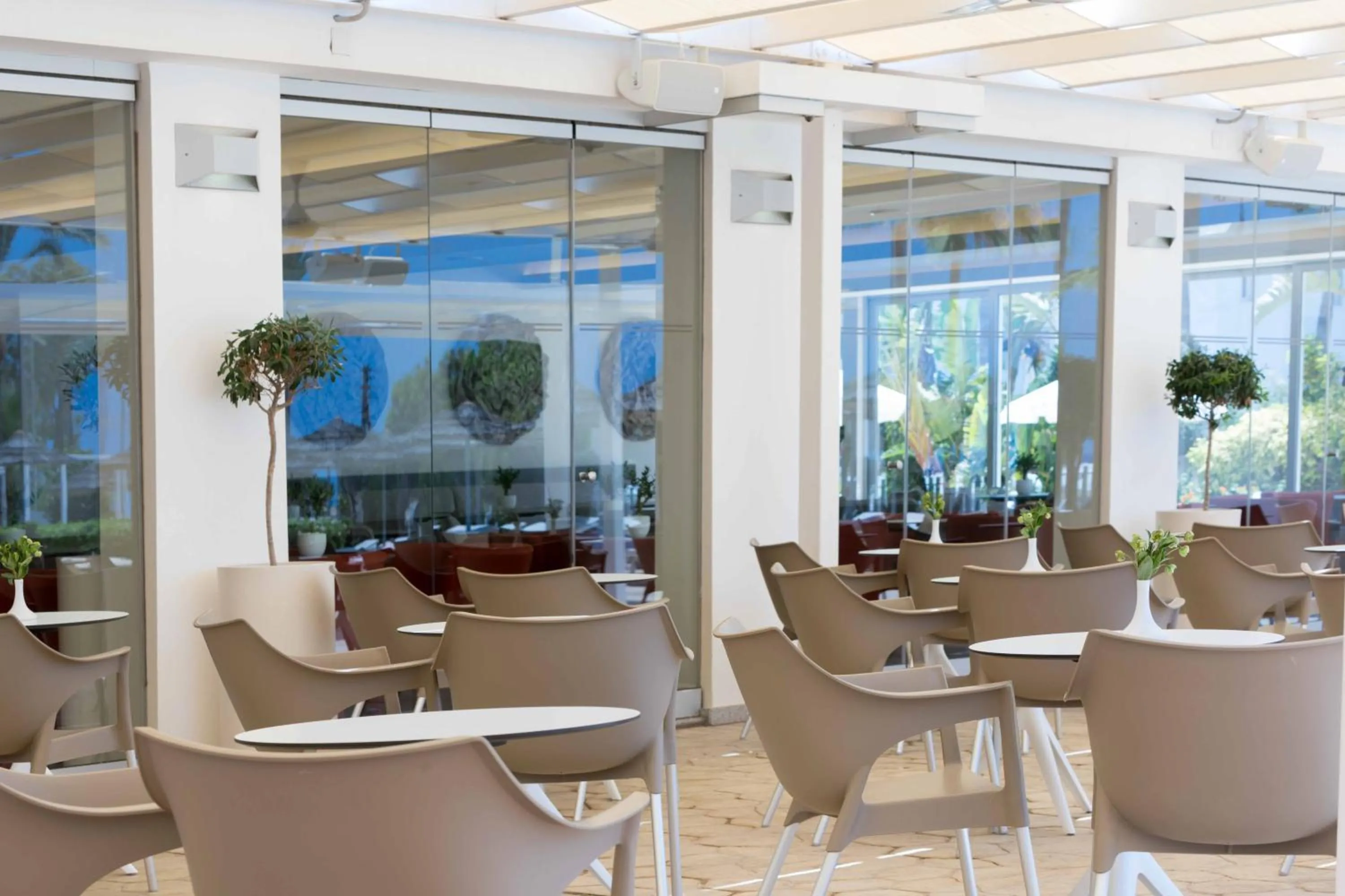 Lounge or bar in Tasia Maris Beach Hotel - Adults Only