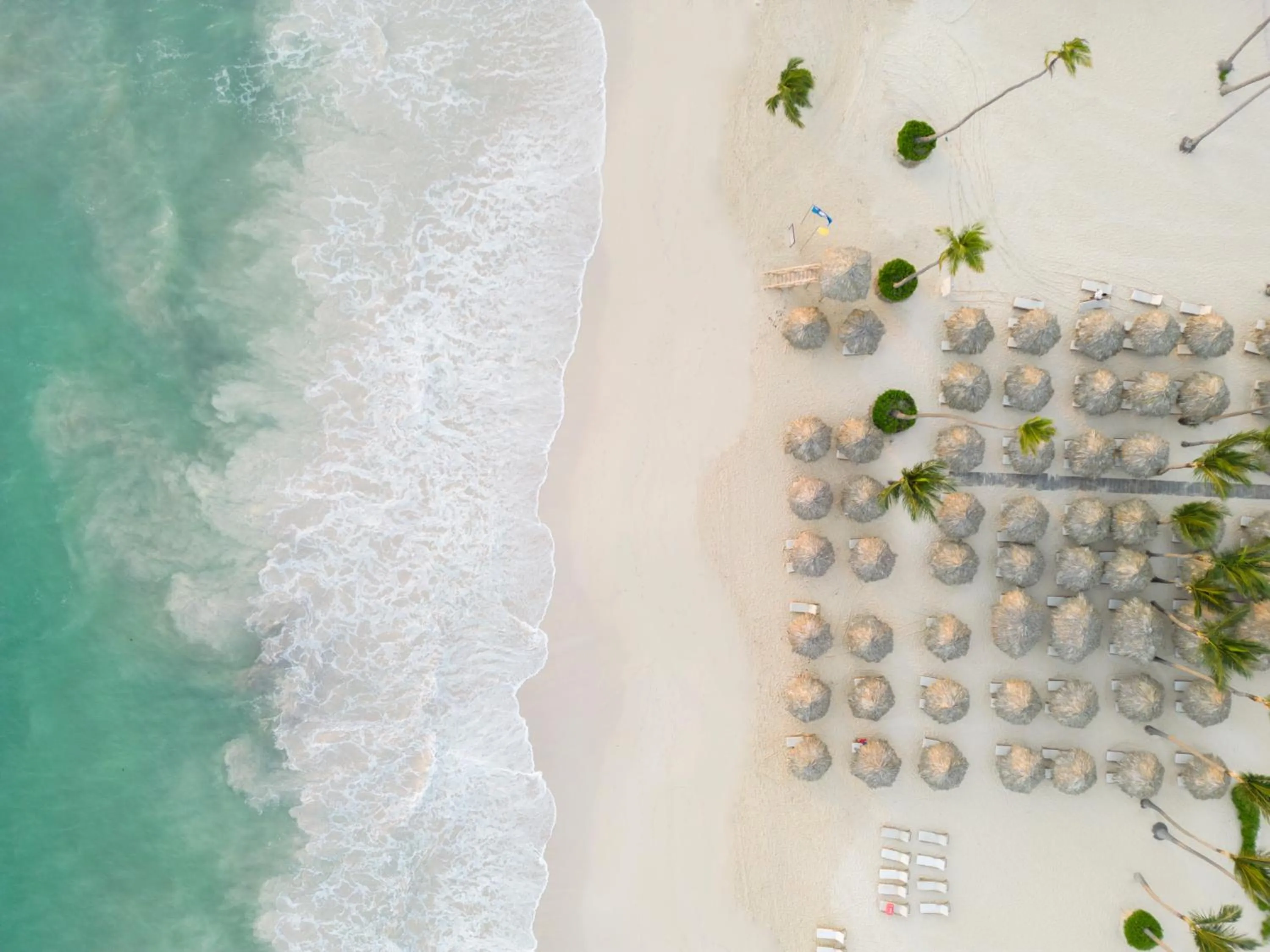 Beach in JOIA Bavaro by Iberostar - Adults Only All Inclusive Resort