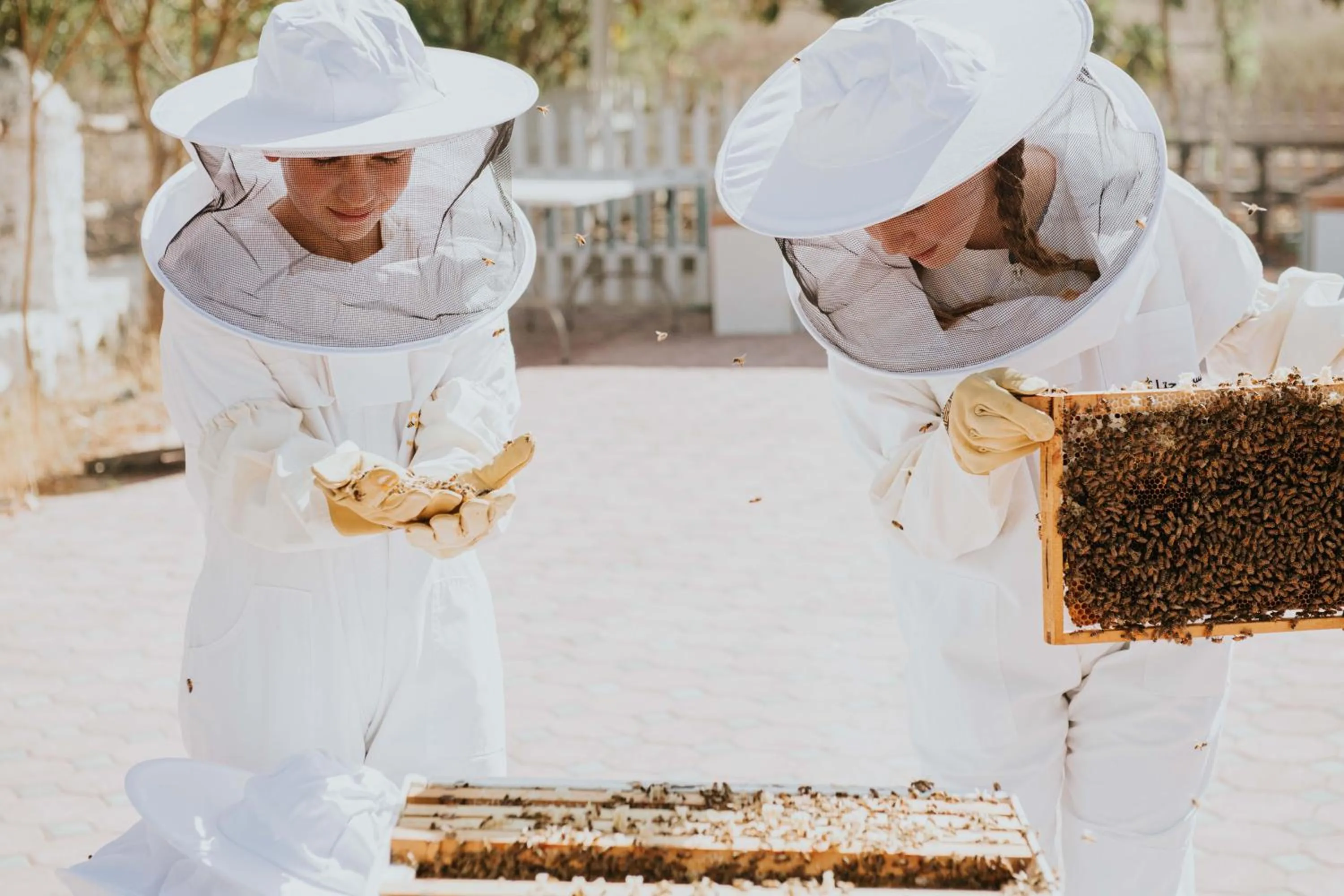 Activities in JA Hatta Fort Hotel