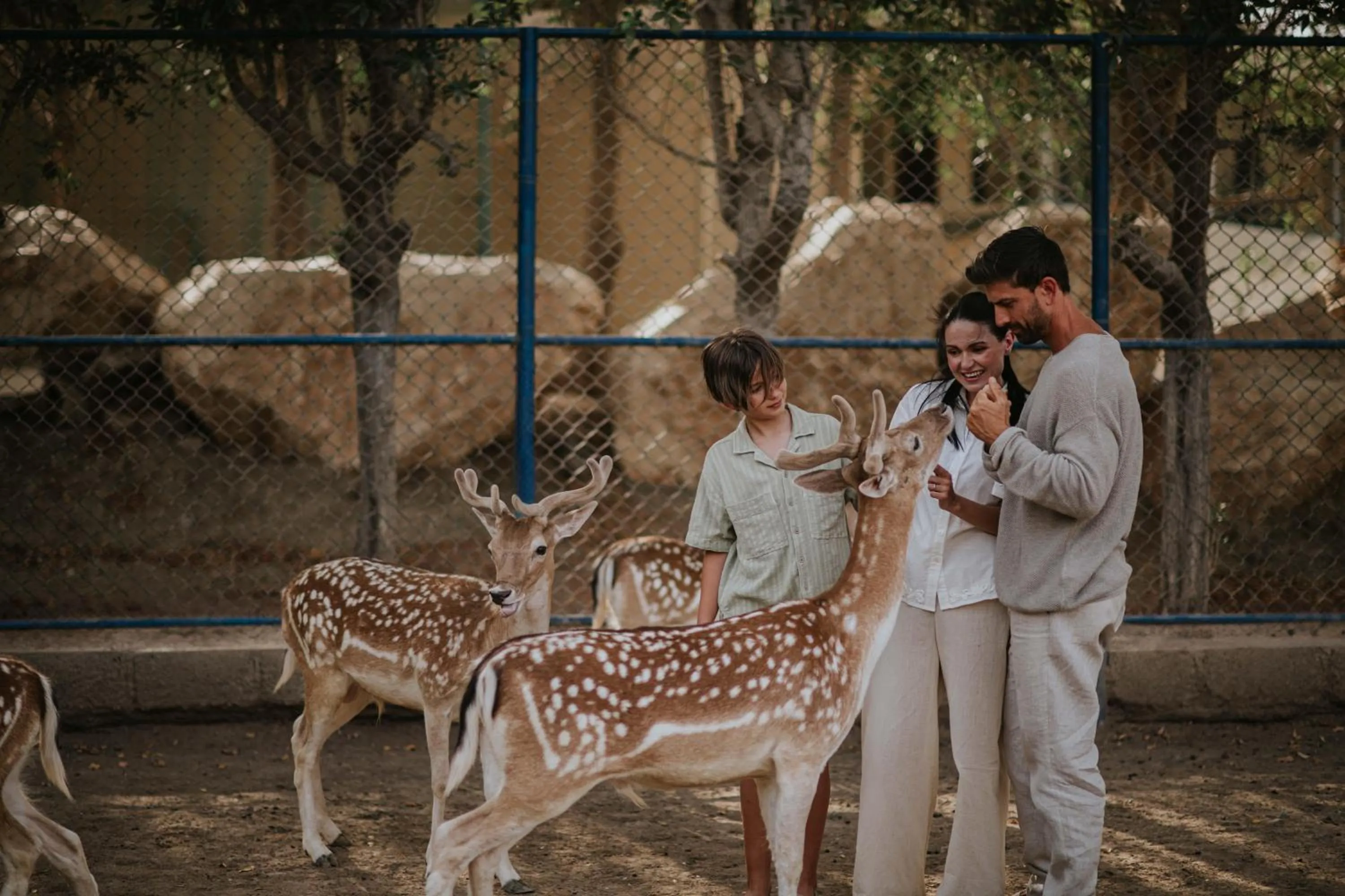 Landmark view in JA Hatta Fort Hotel