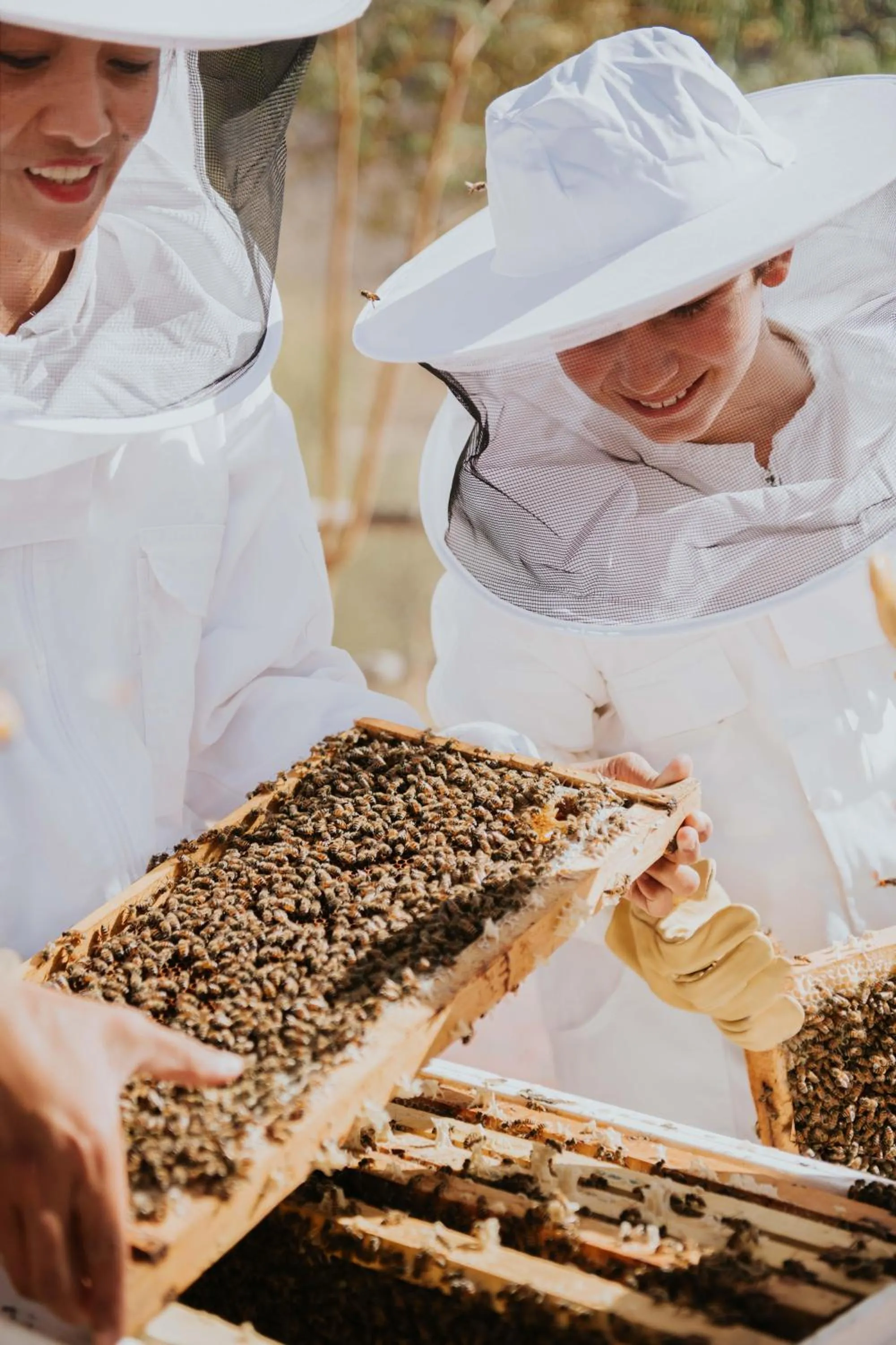 Activities in JA Hatta Fort Hotel