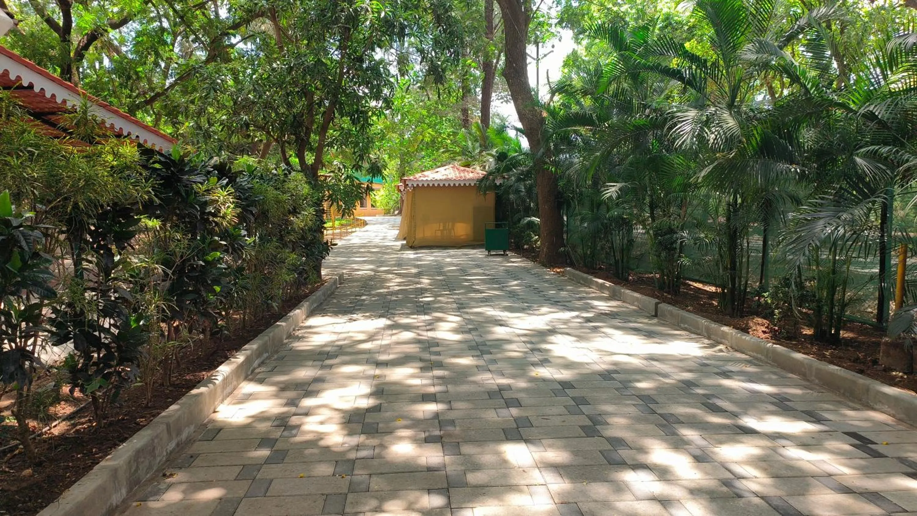 Area and facilities in Pinewood Resort