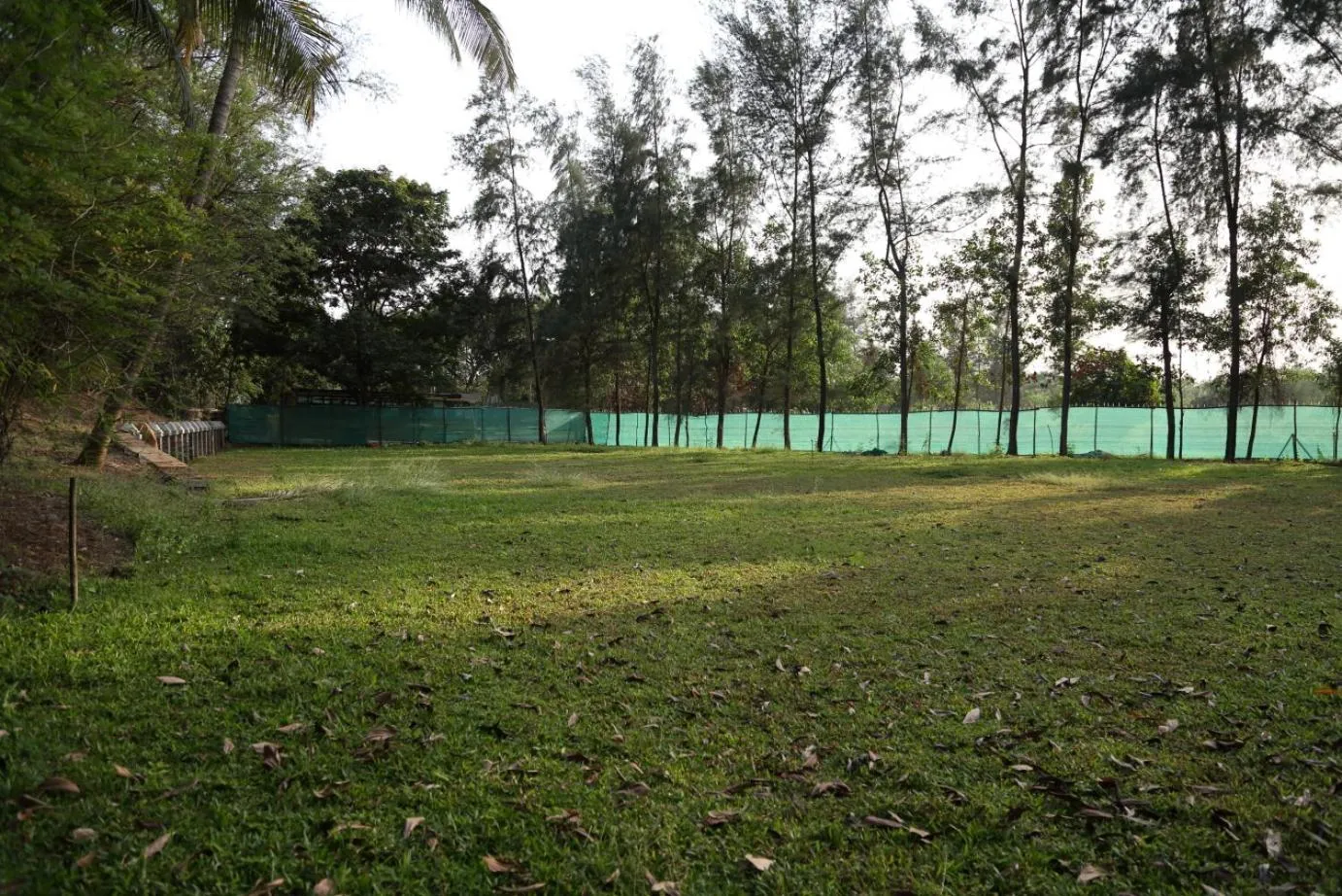 View (from property/room) in Pinewood Resort