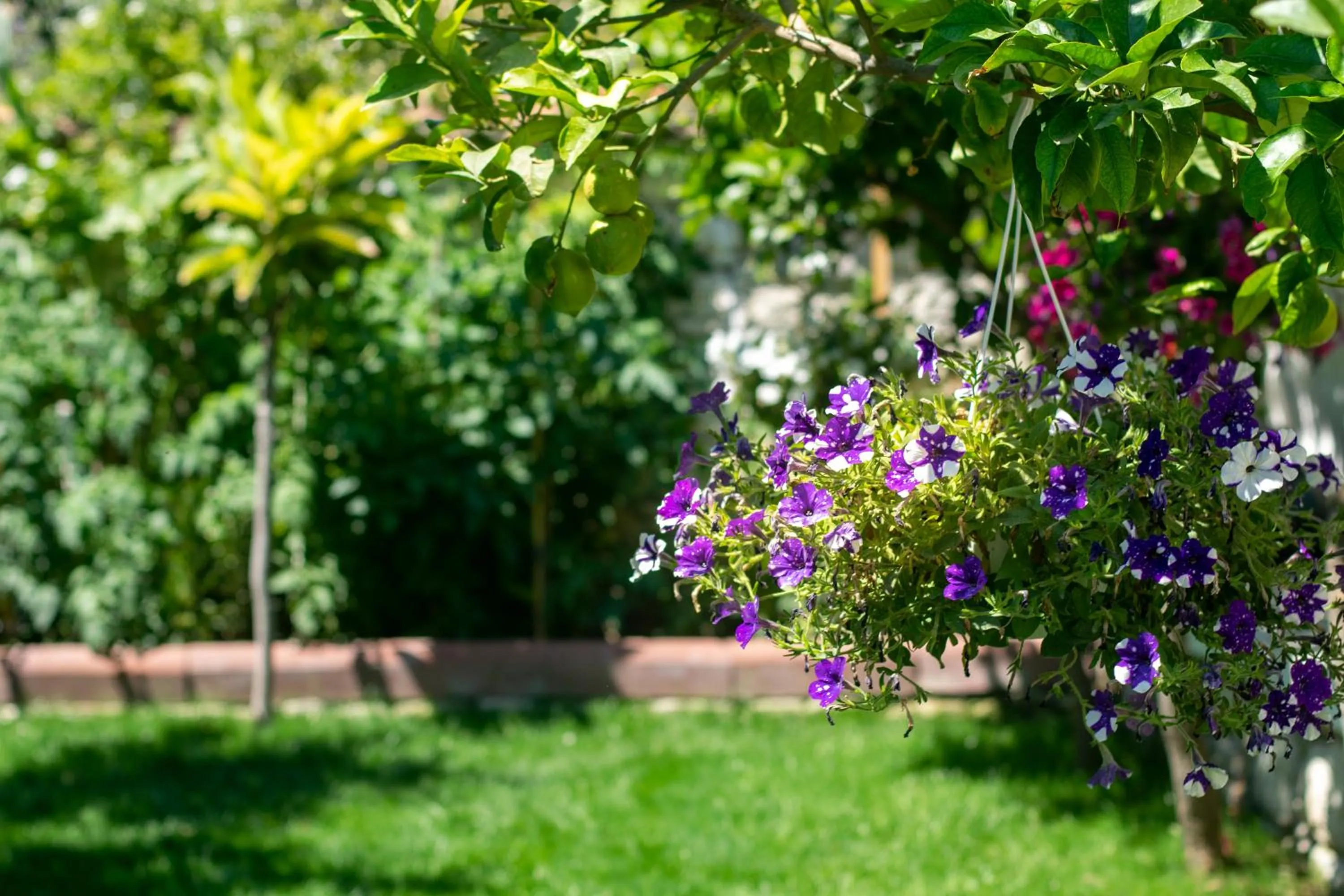 Garden in Flores Hotel Alaçatı