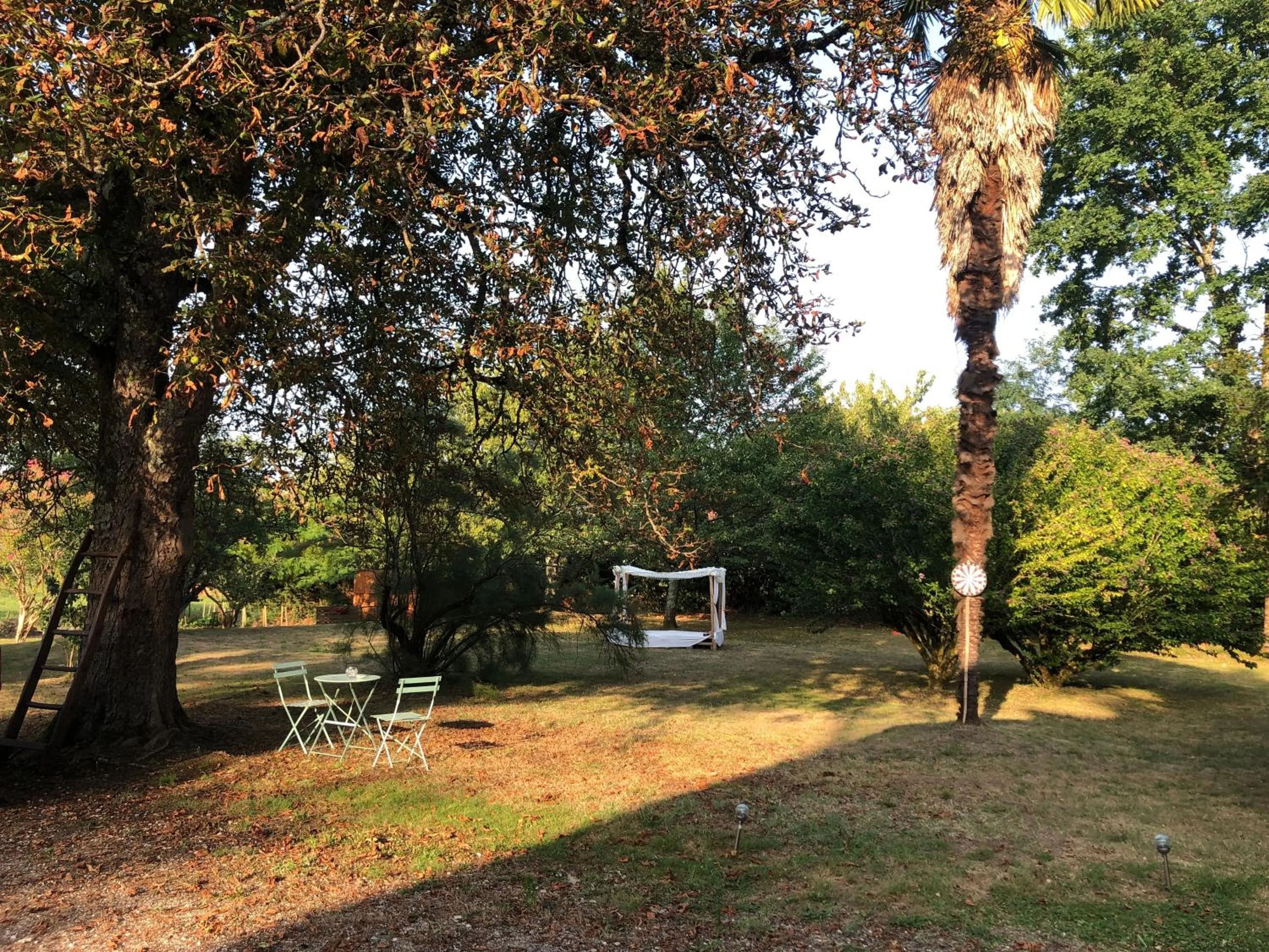 Natural landscape in Domaine Pierrot