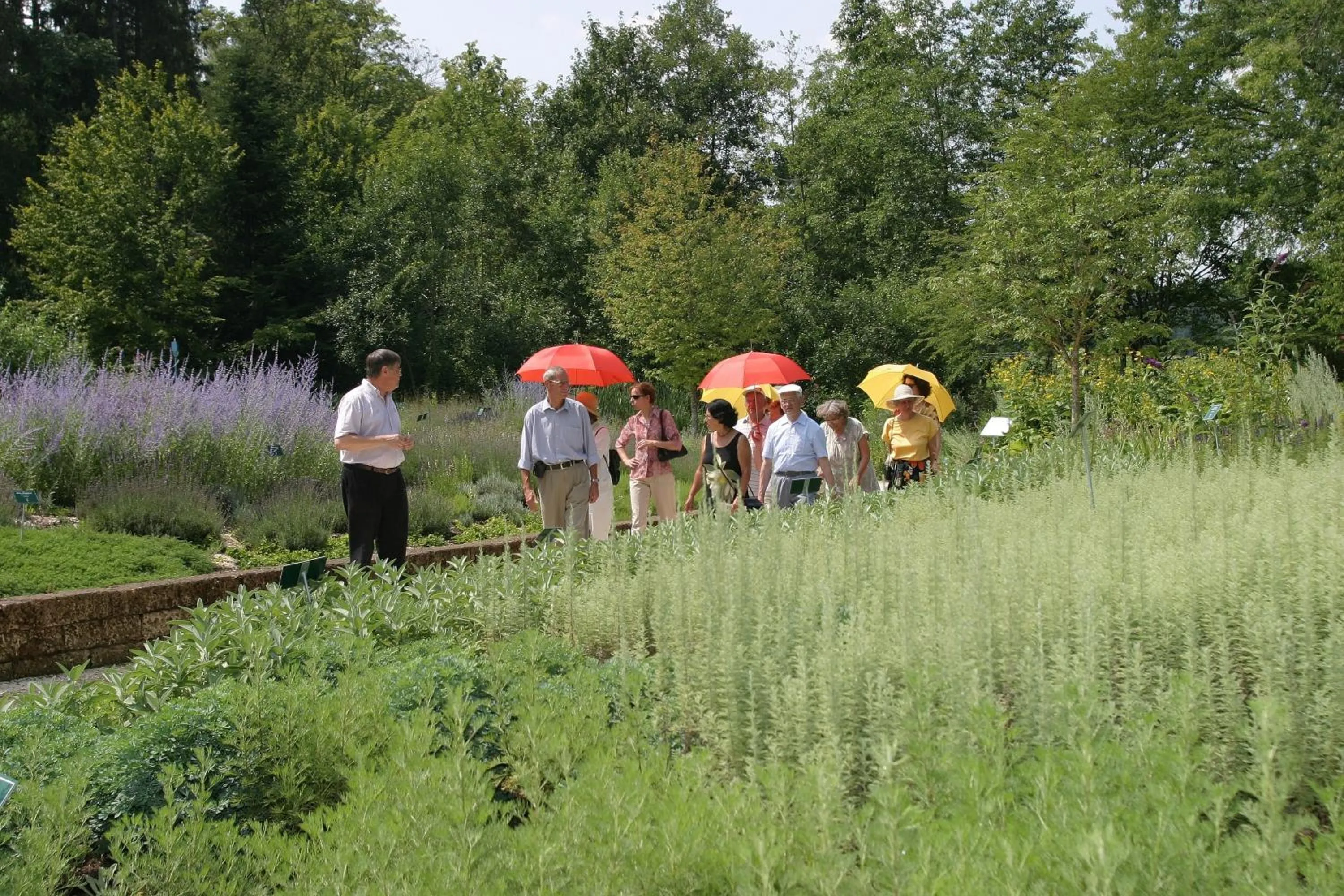 Garden in Kneipp- und Wellvitalhotel Edelweiss