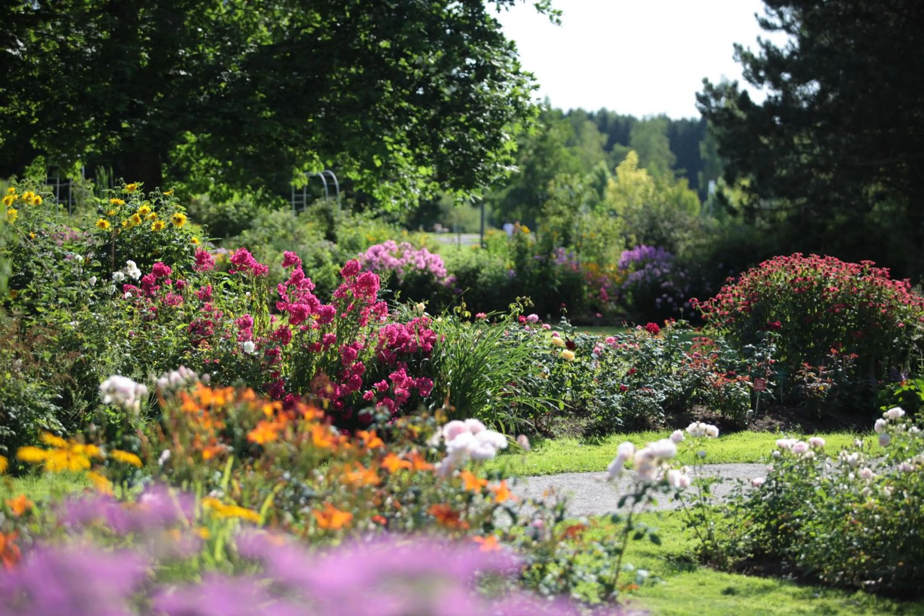 Garden in Kneipp- und Wellvitalhotel Edelweiss