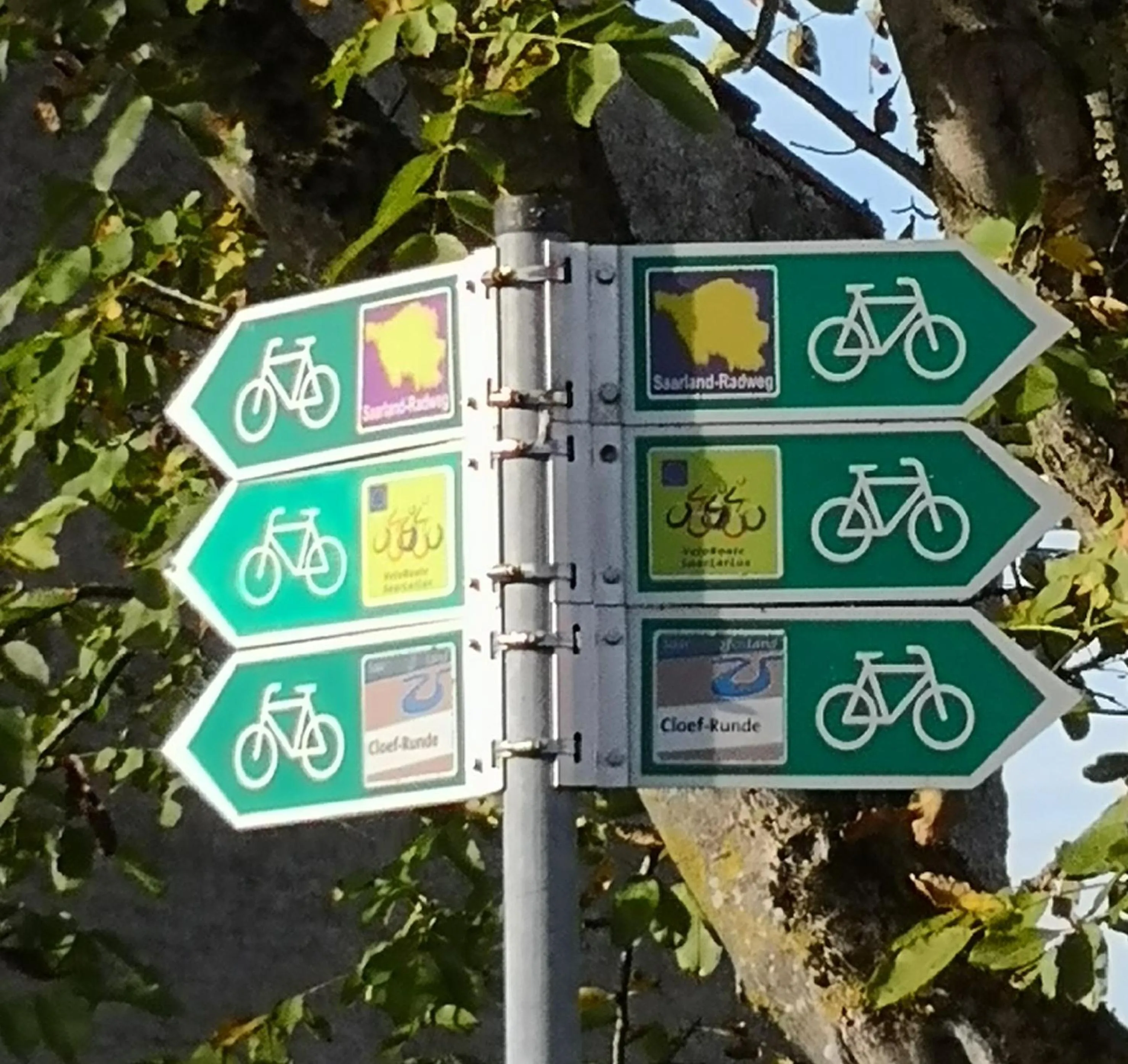 Activities in Hotel Sonnenhof