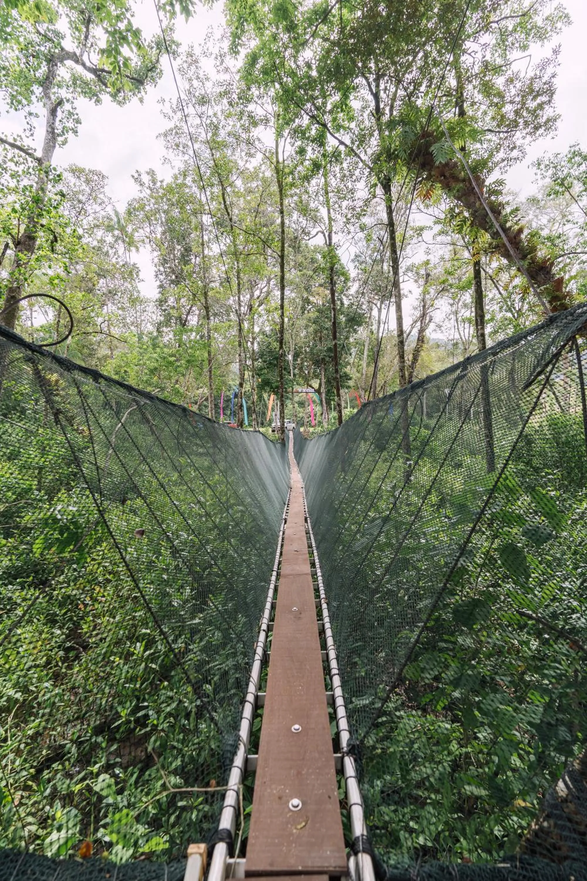 Activities in Roxy Telok Serabang