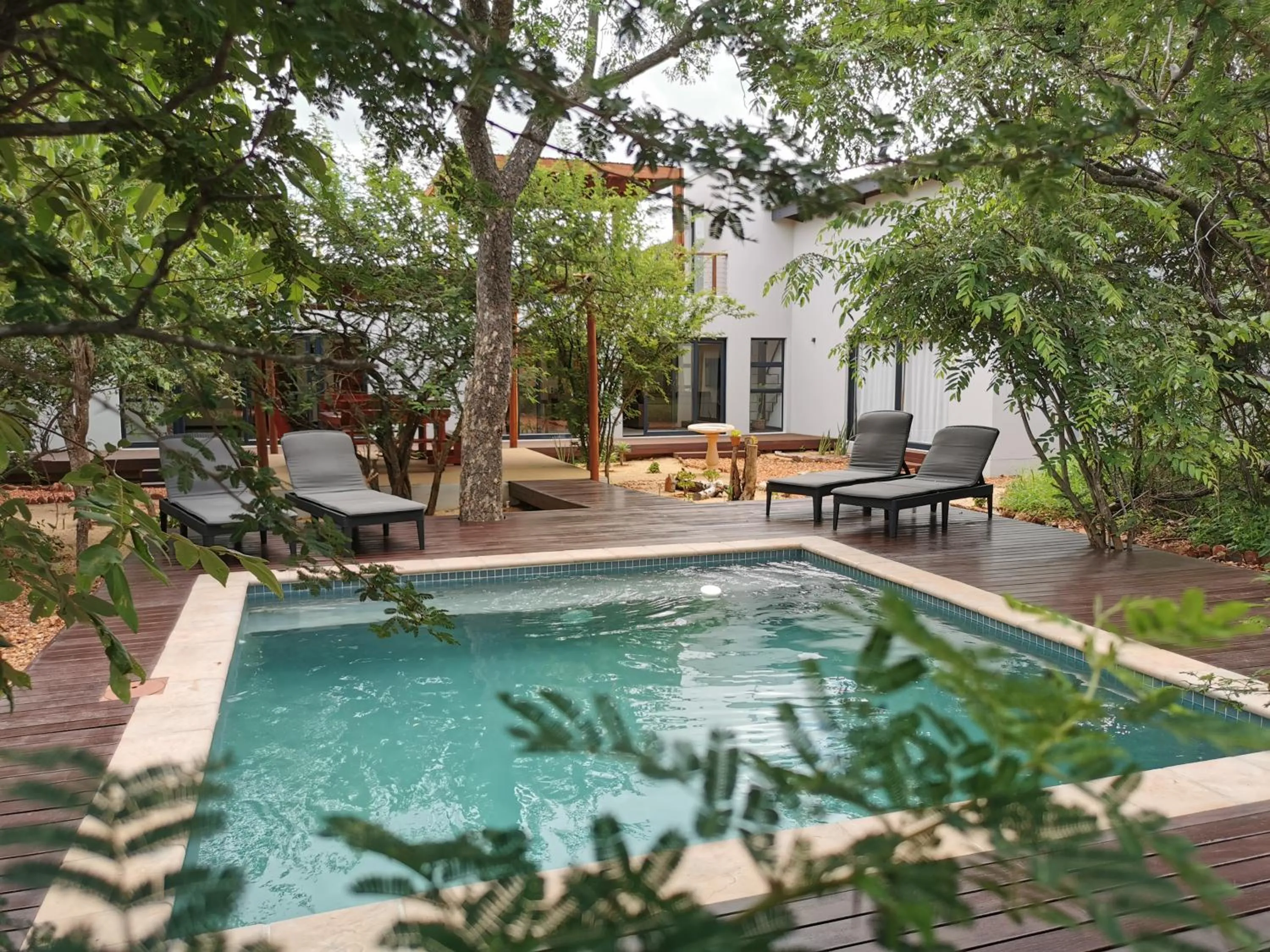 Swimming pool in Gem In The Bush Lodge