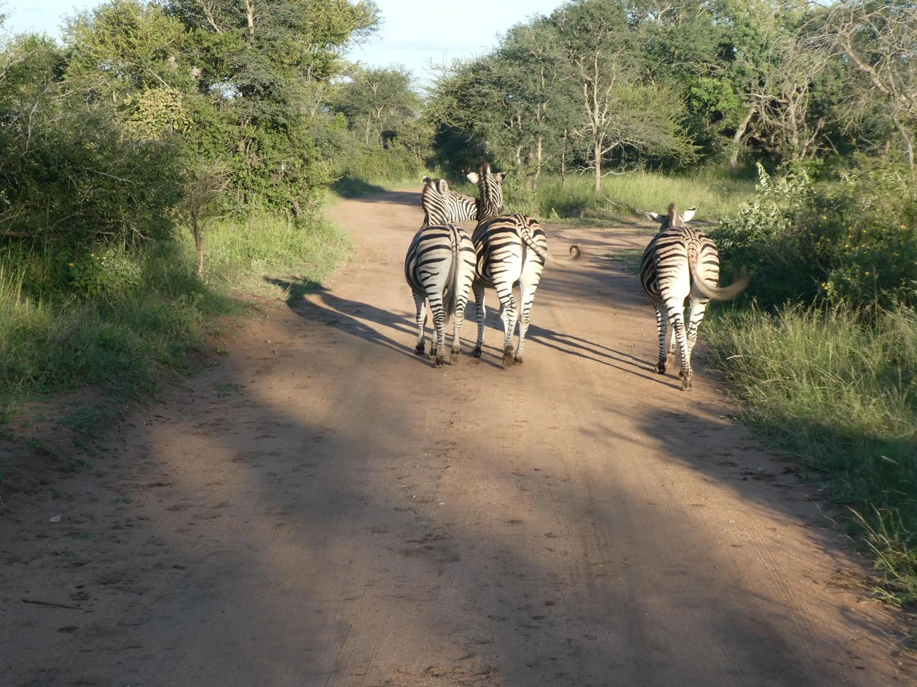 Gem In The Bush Lodge