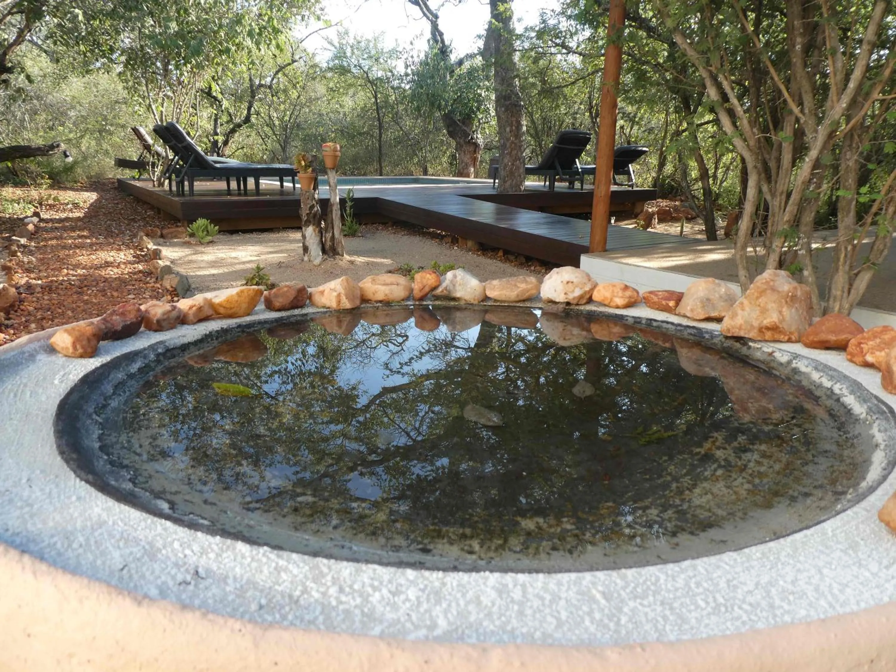 Gem In The Bush Lodge