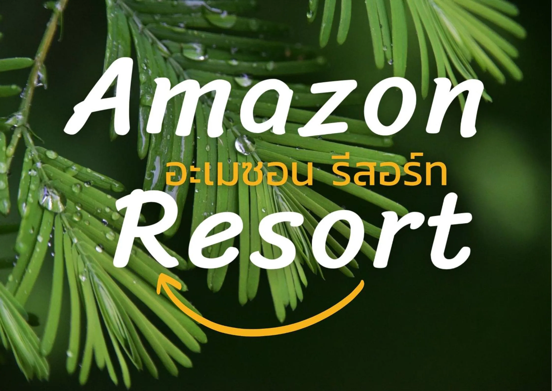 Amazon Resort
