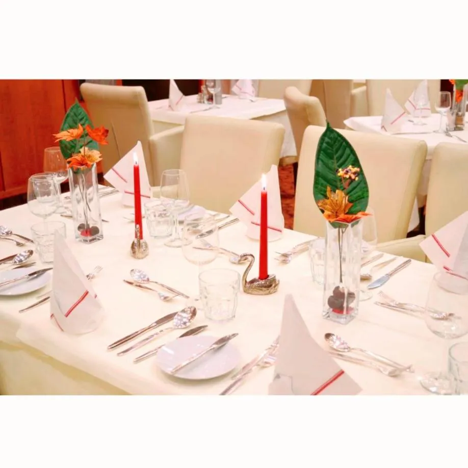 Banquet/Function facilities in Hotel Aragia