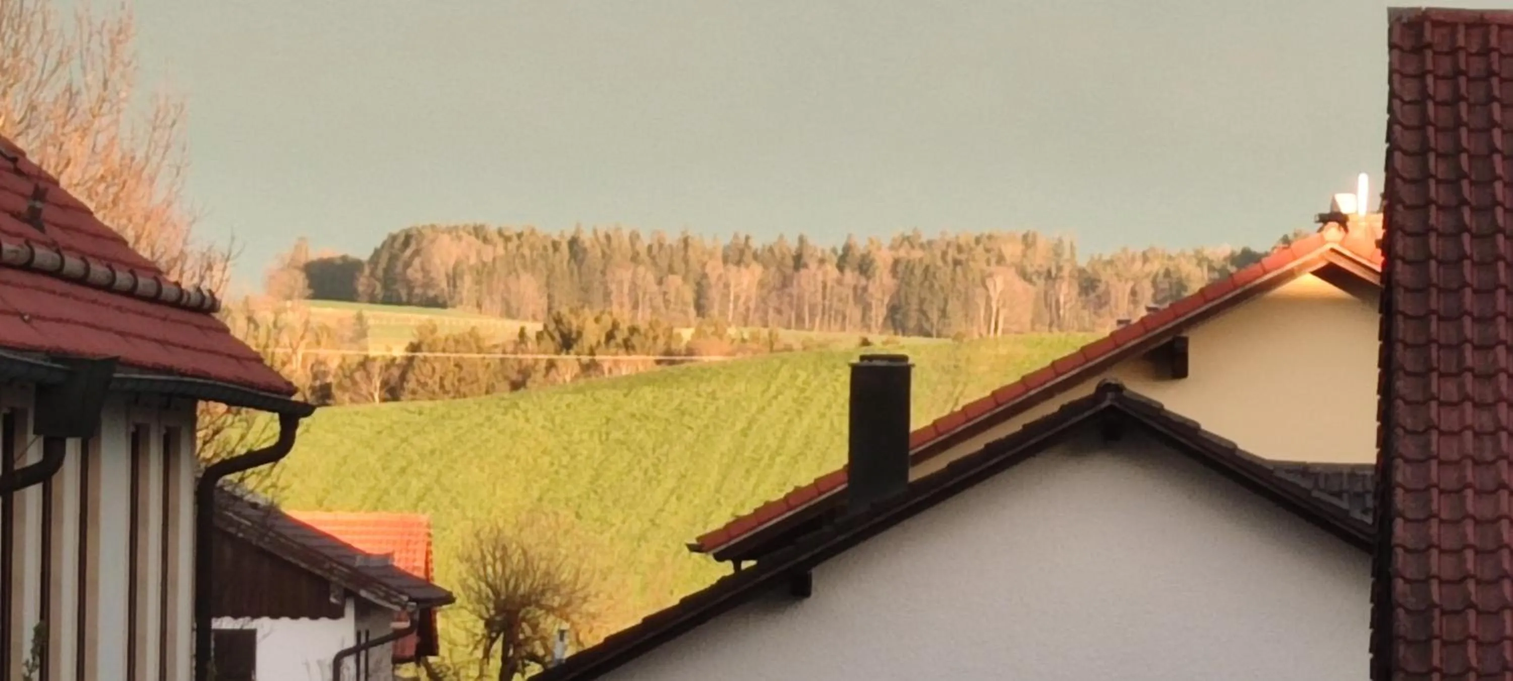 Garden view in Gasthof zur Post