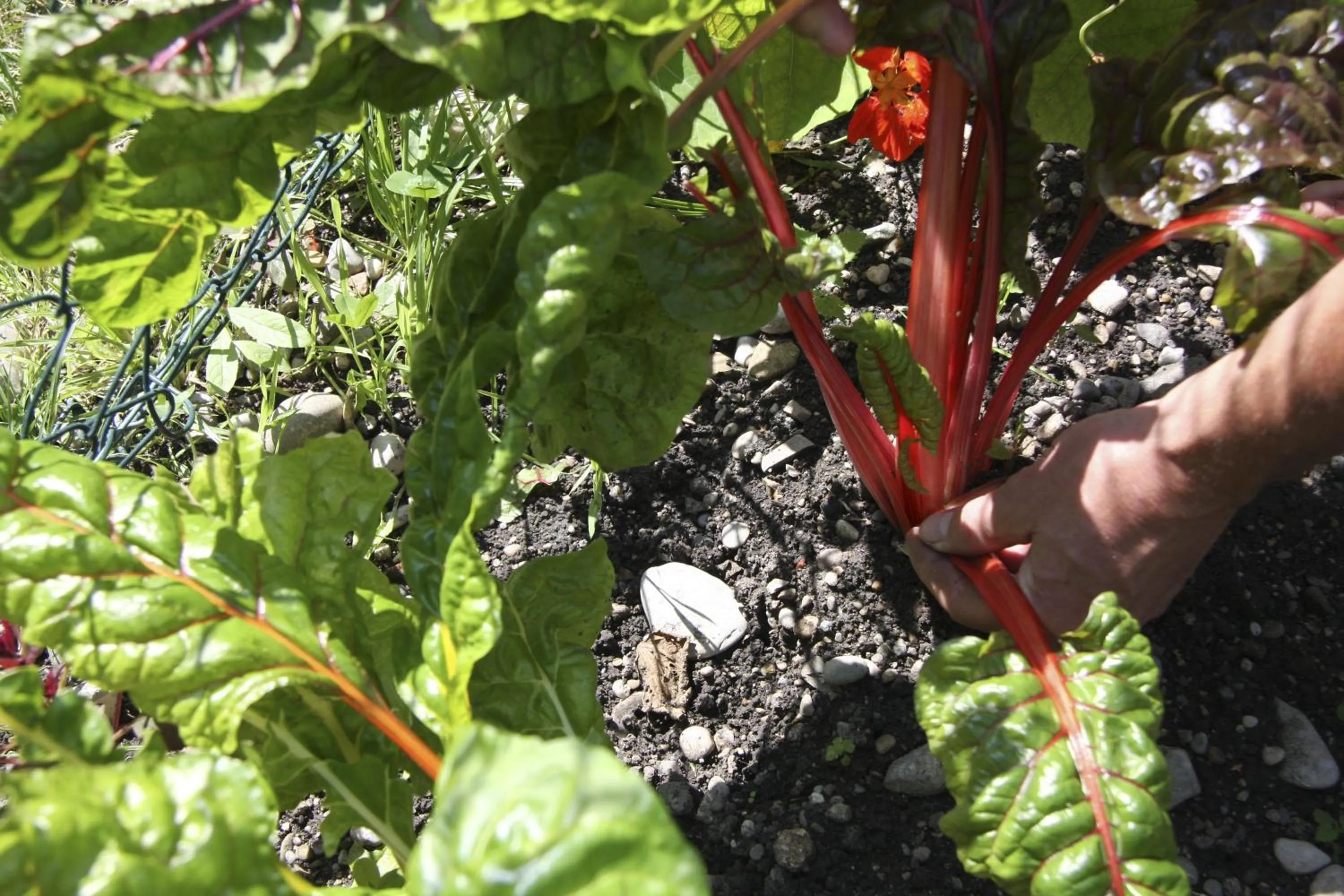 Other in Hotel Gasthof Alte Post