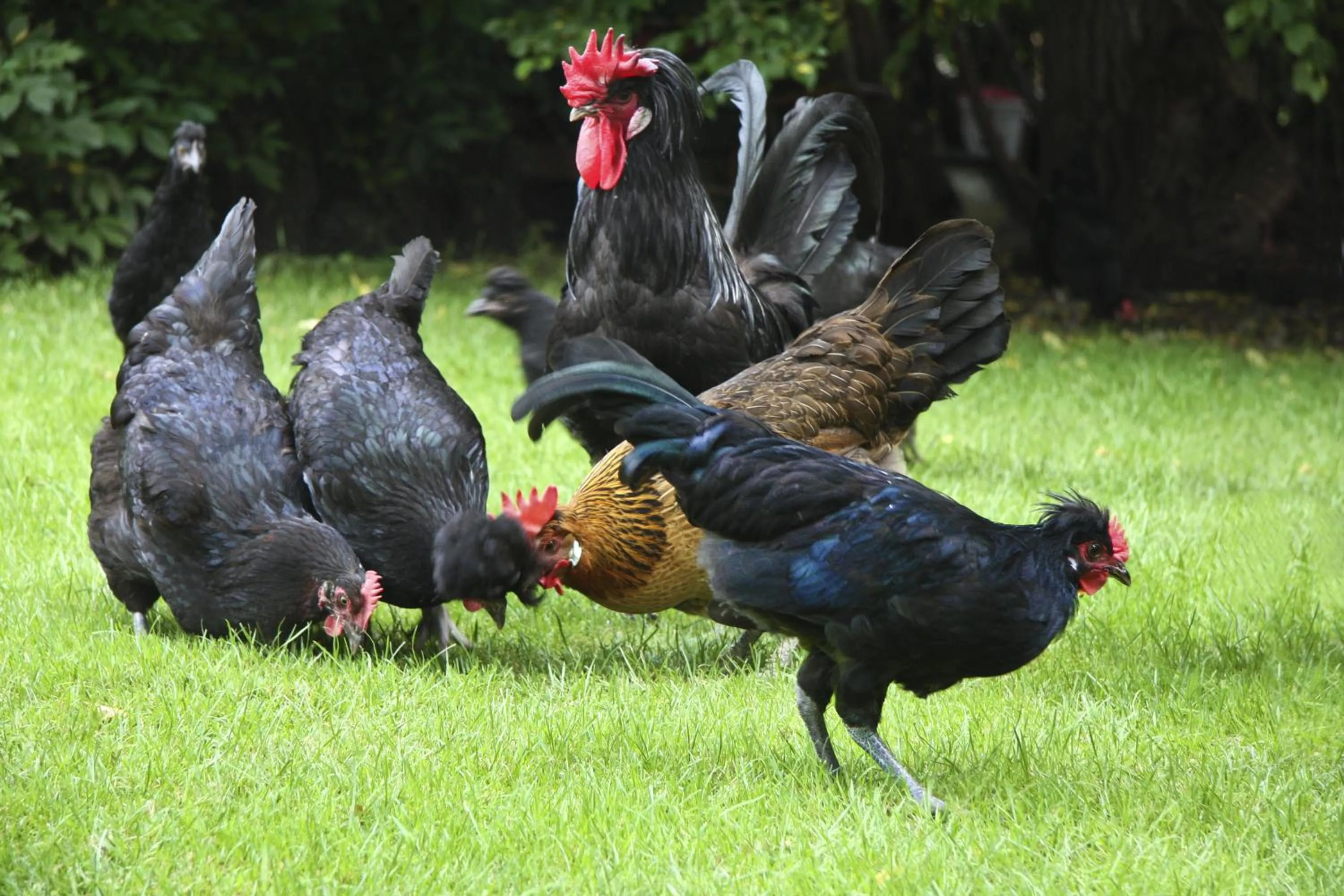 Other in Hotel Gasthof Alte Post