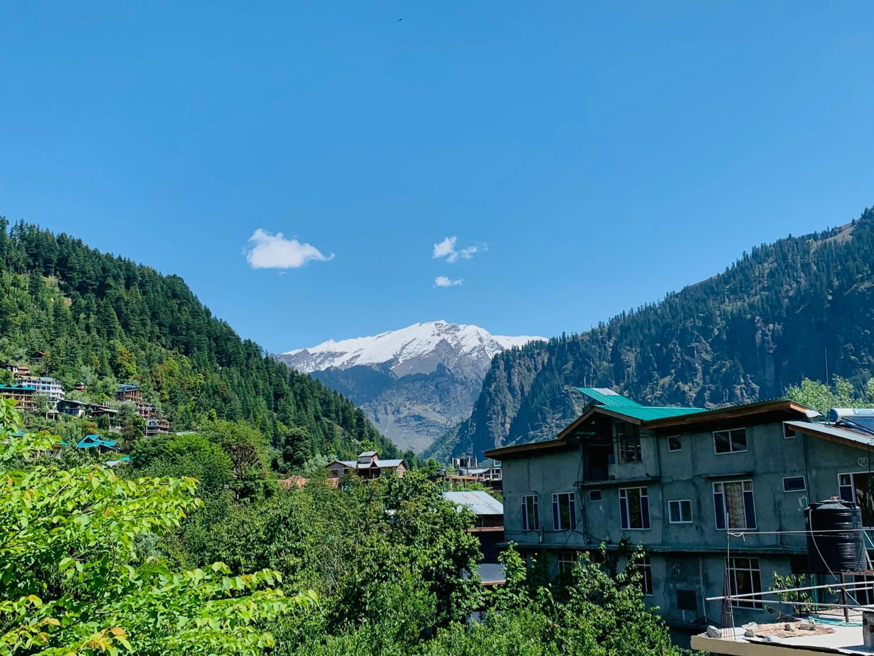 Neighbourhood in Jungle by sturmfrei Manali