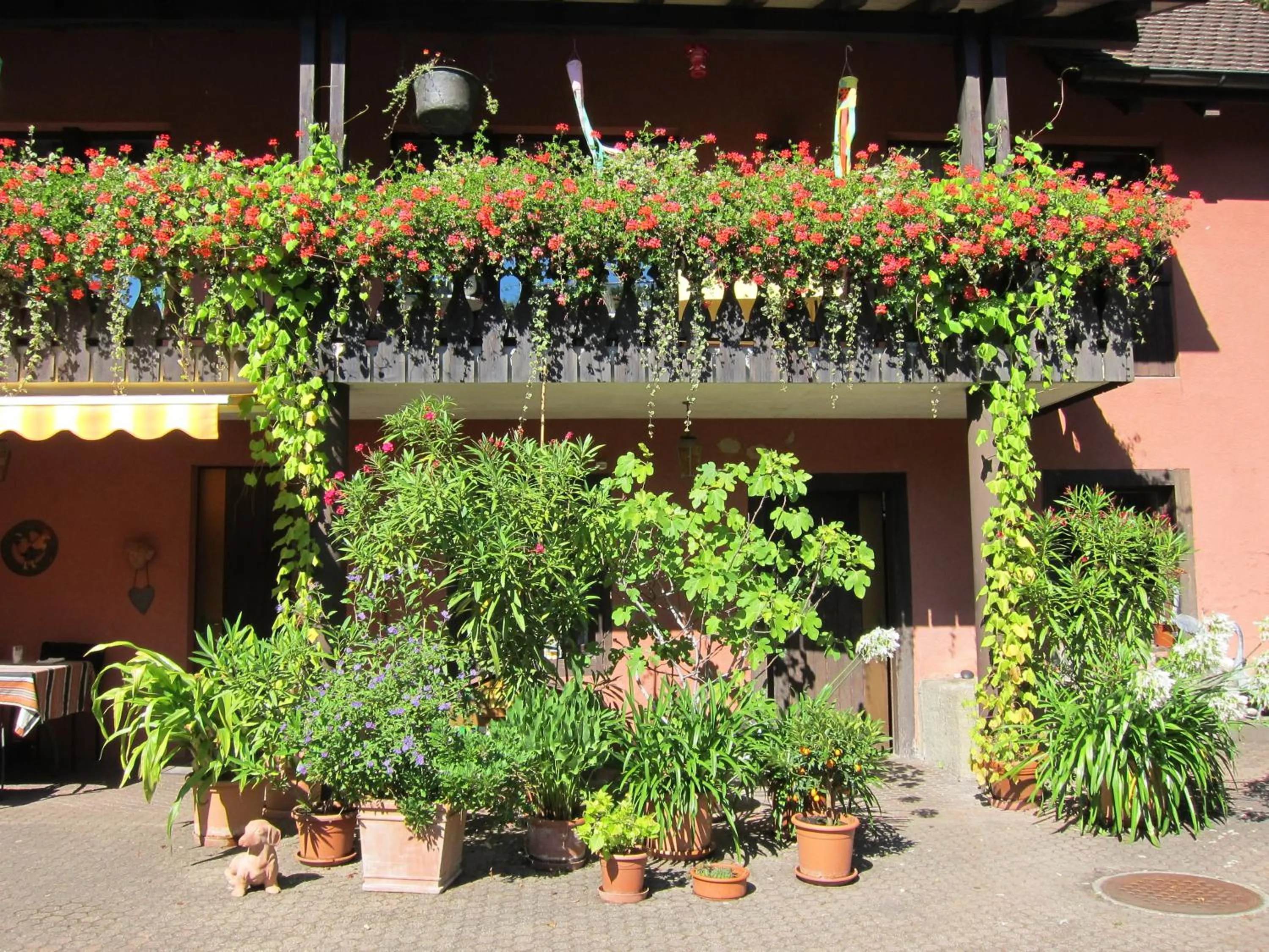 Patio in Landhotel Hirschen