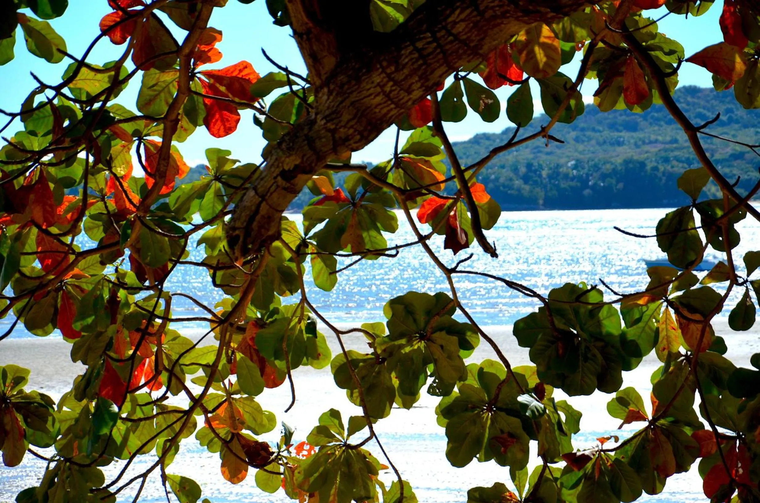 Seasons in Vanila Hotel & Spa