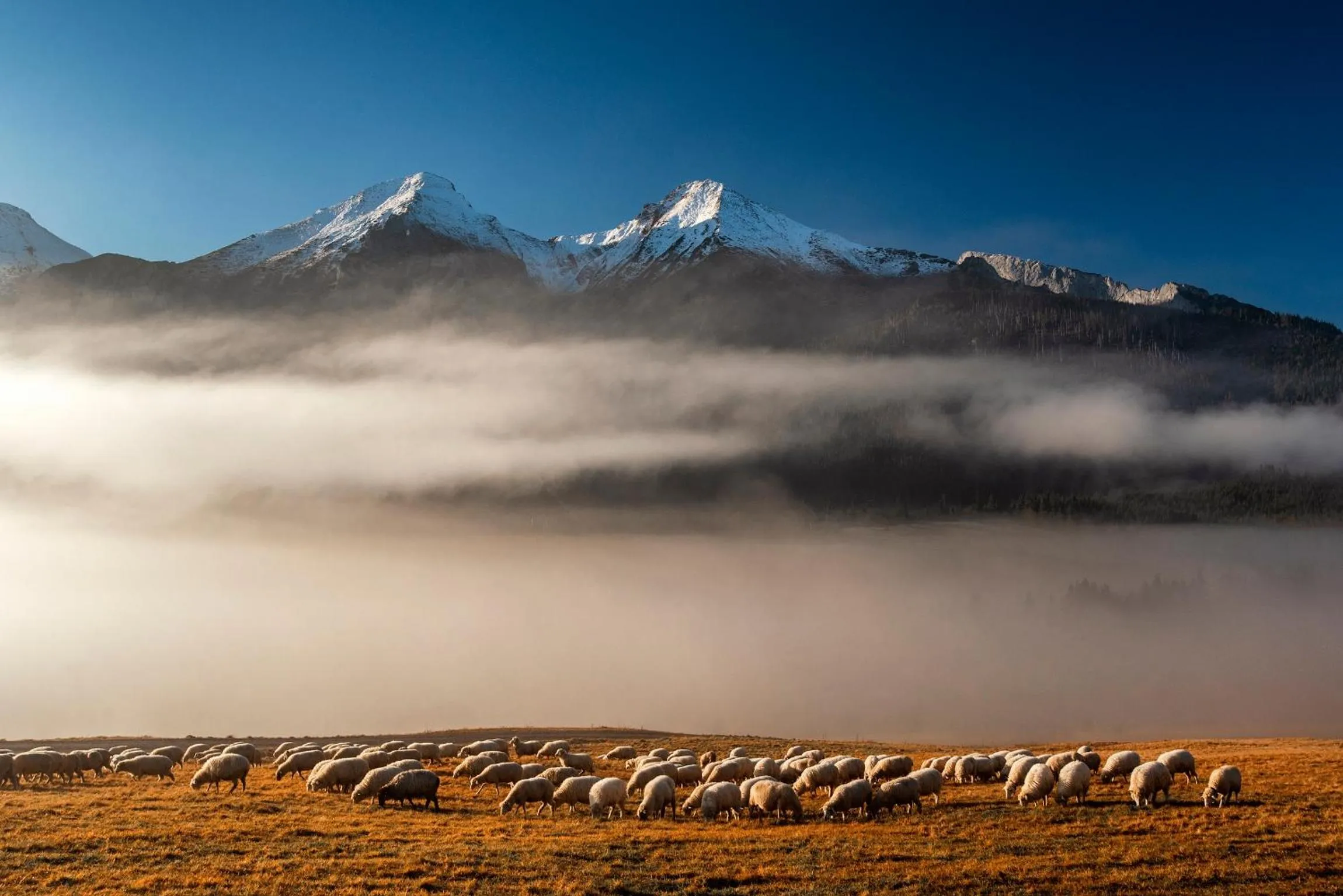 Natural landscape in SOVA Hotel&Restaurant
