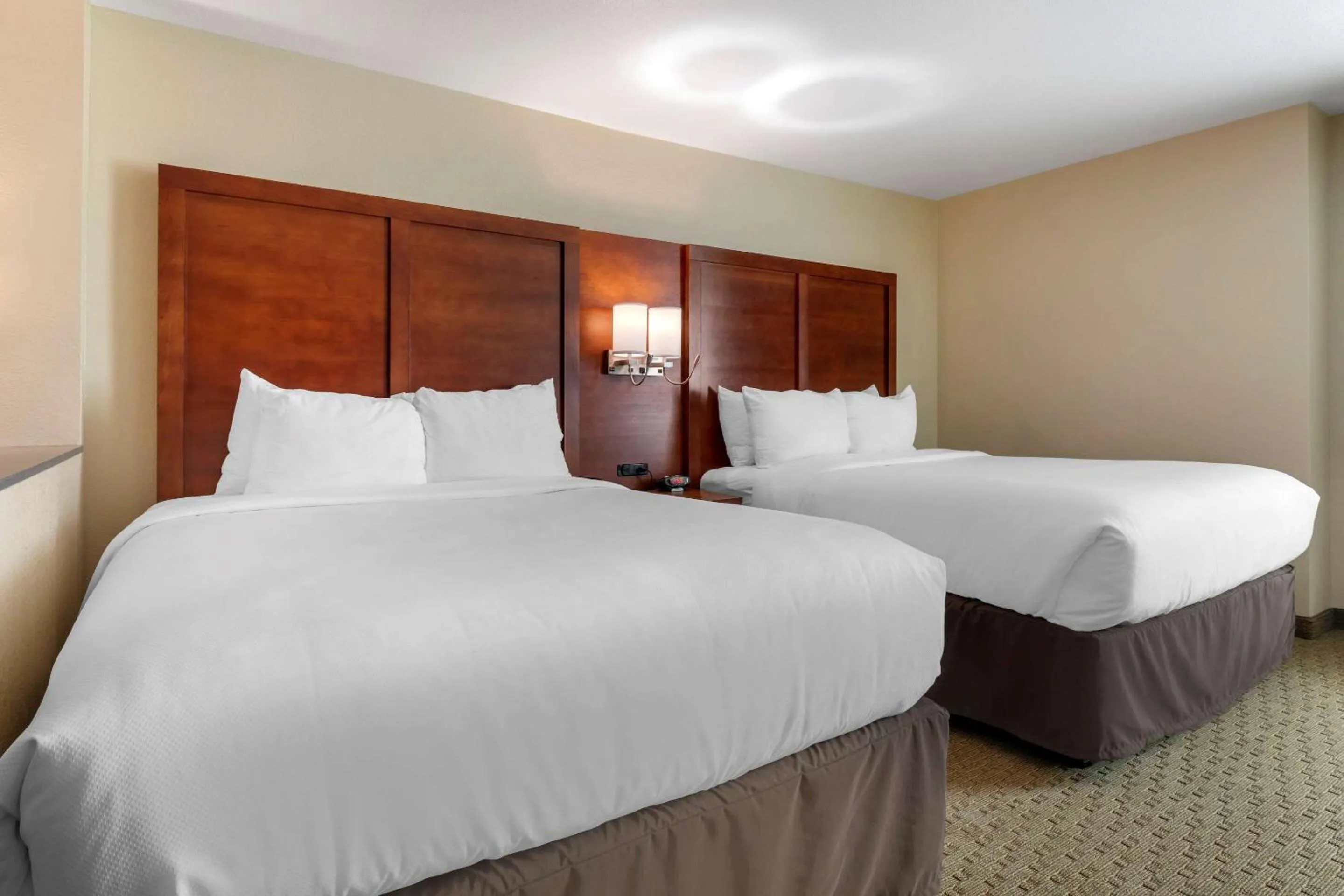 Photo of the whole room, Bed in Comfort Inn & Suites Euless DFW West