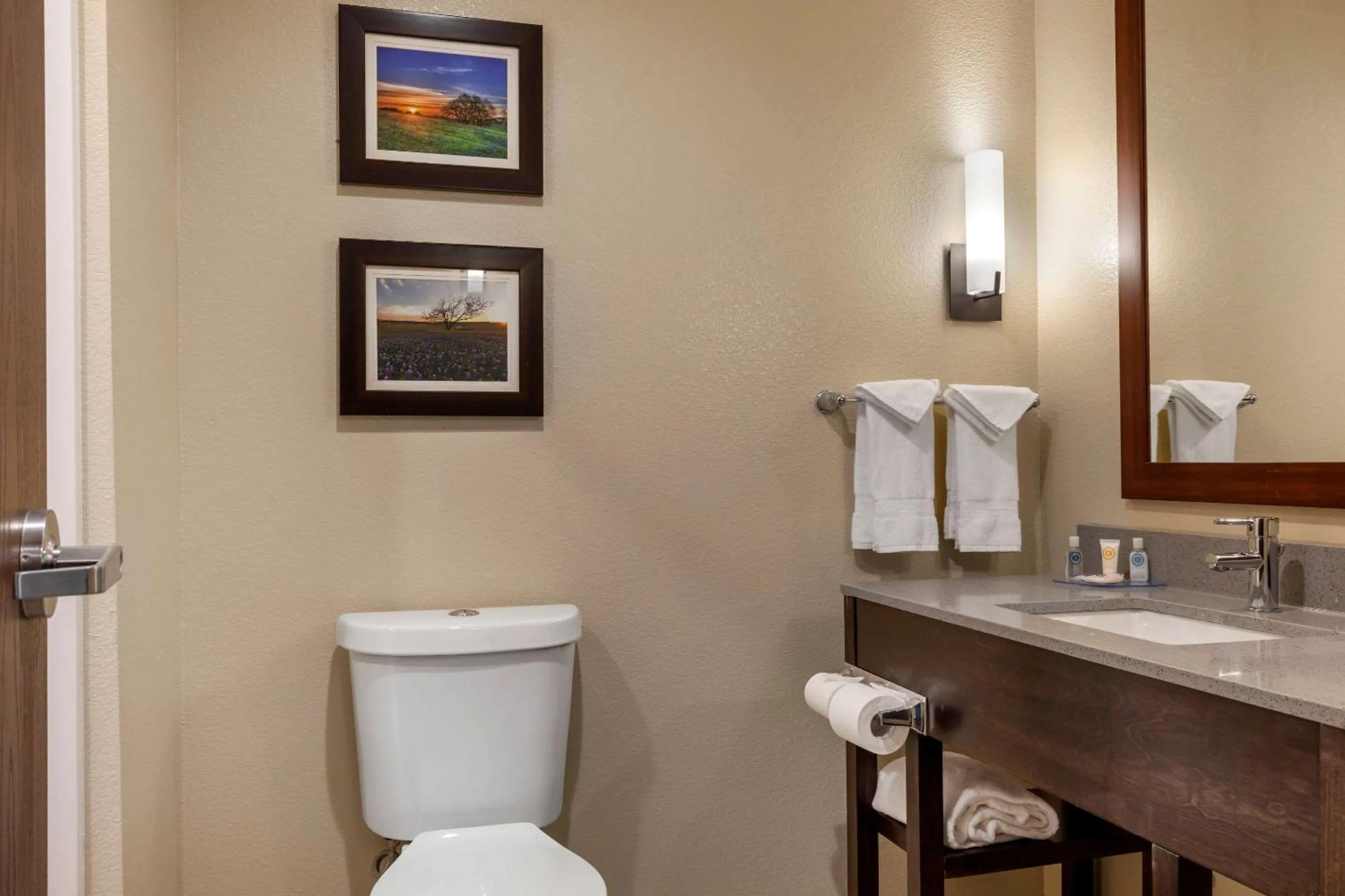 Toilet in Comfort Inn & Suites Euless DFW West