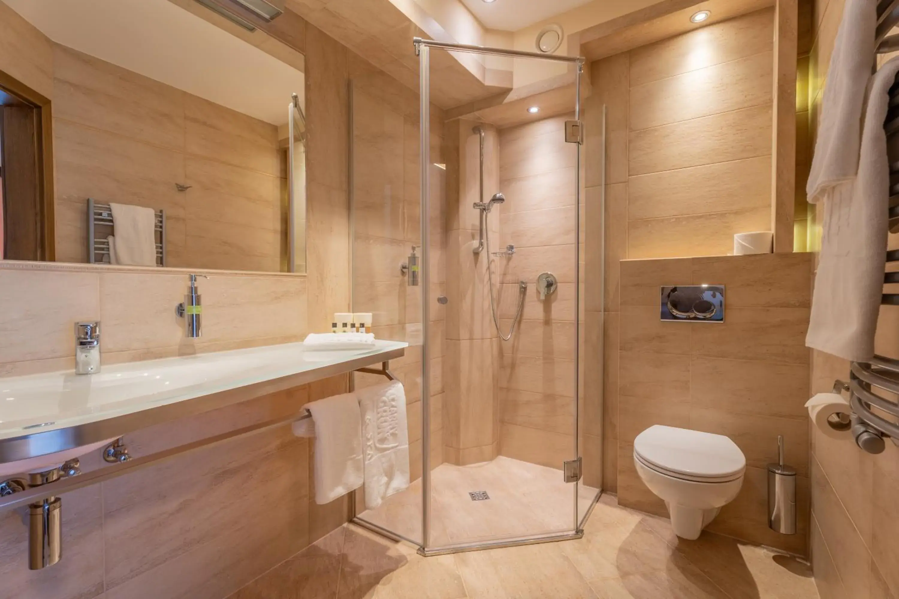 Single Room in Hotel & SPA Czarny Groń Single Room in Hotel & SPA Czarny Groń