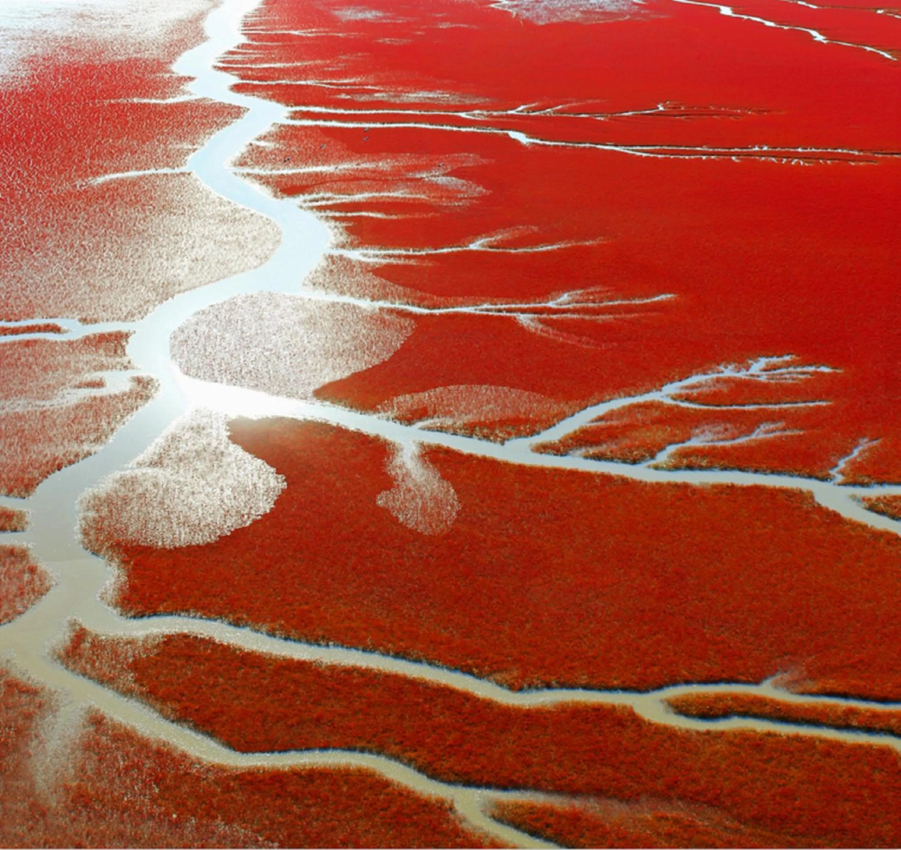 Property building in Holiday Inn Panjin Aqua City by IHG