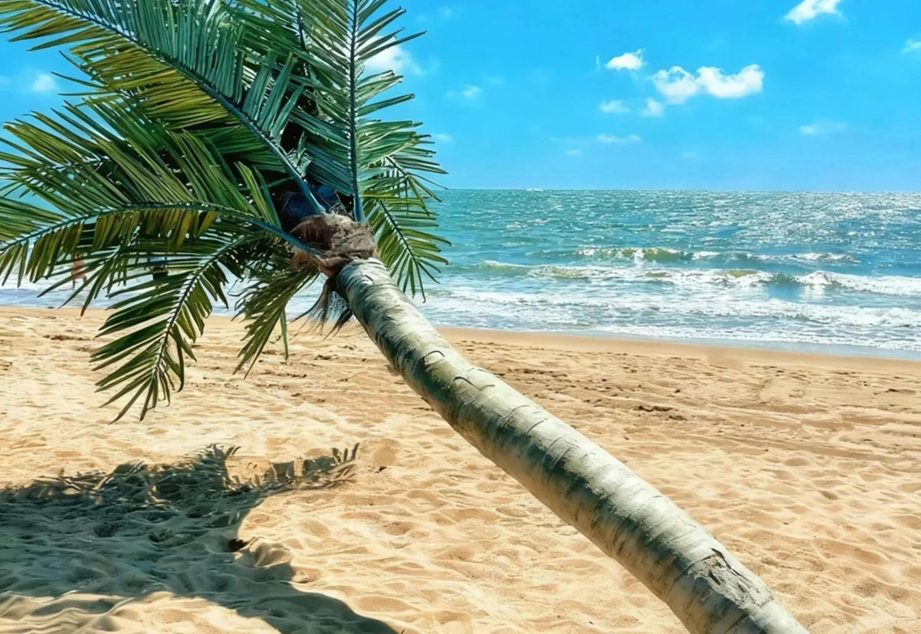 Other in Holiday Inn Panjin Aqua City by IHG