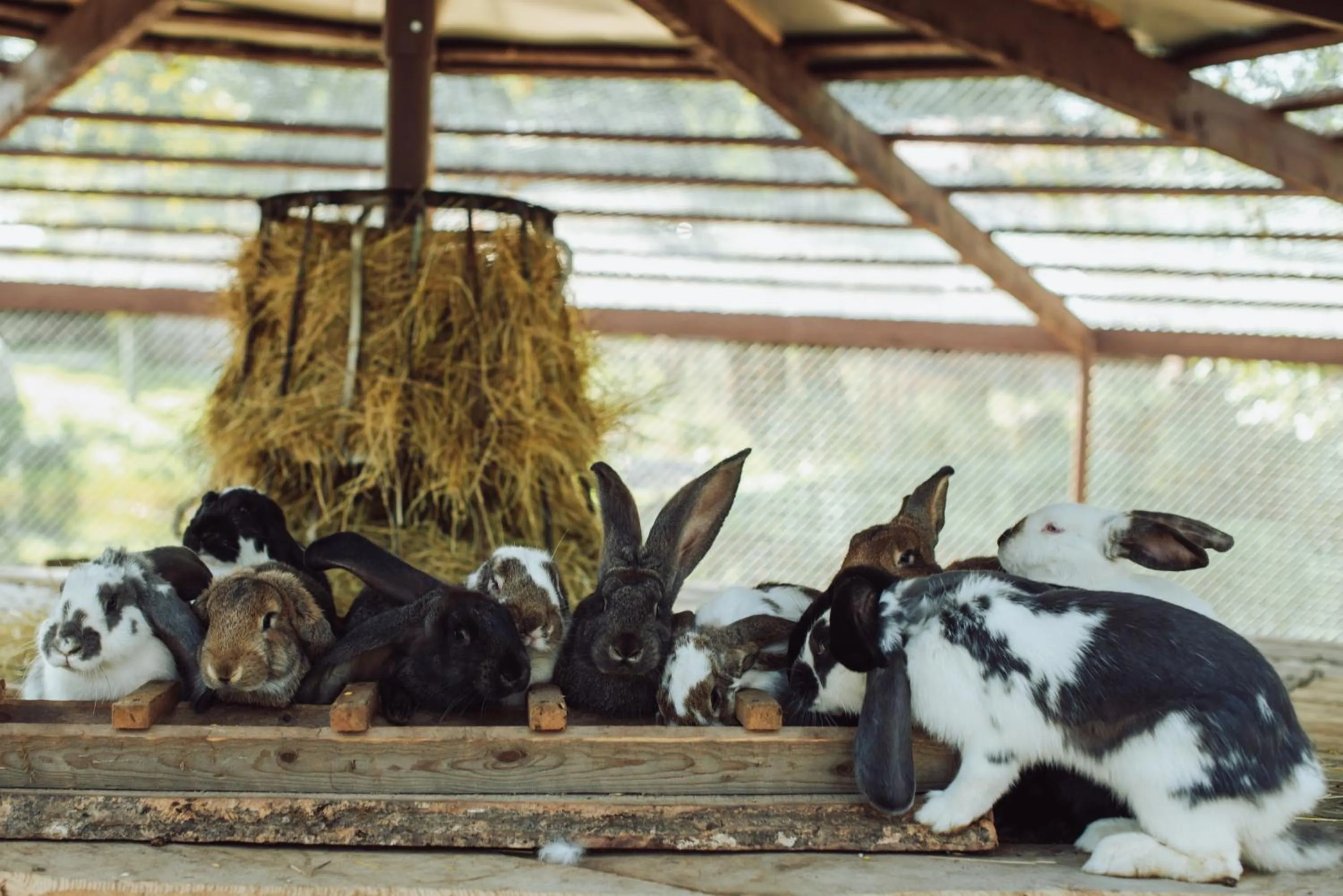 Taujėnų dvaro svečių namai