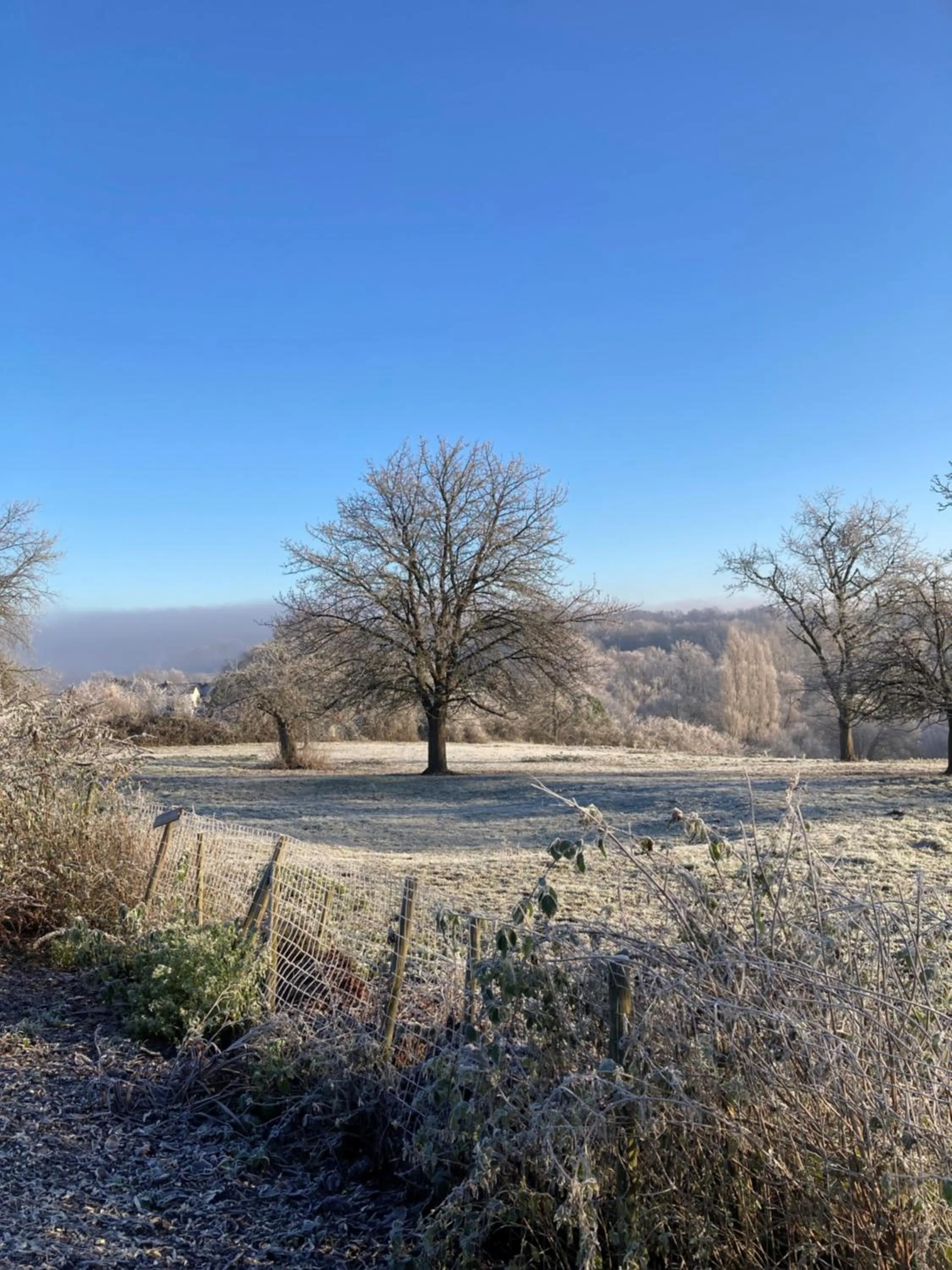 Garden view in Rue Haute by M&M 4 sterren bed en breakfast vlakbij Maastricht