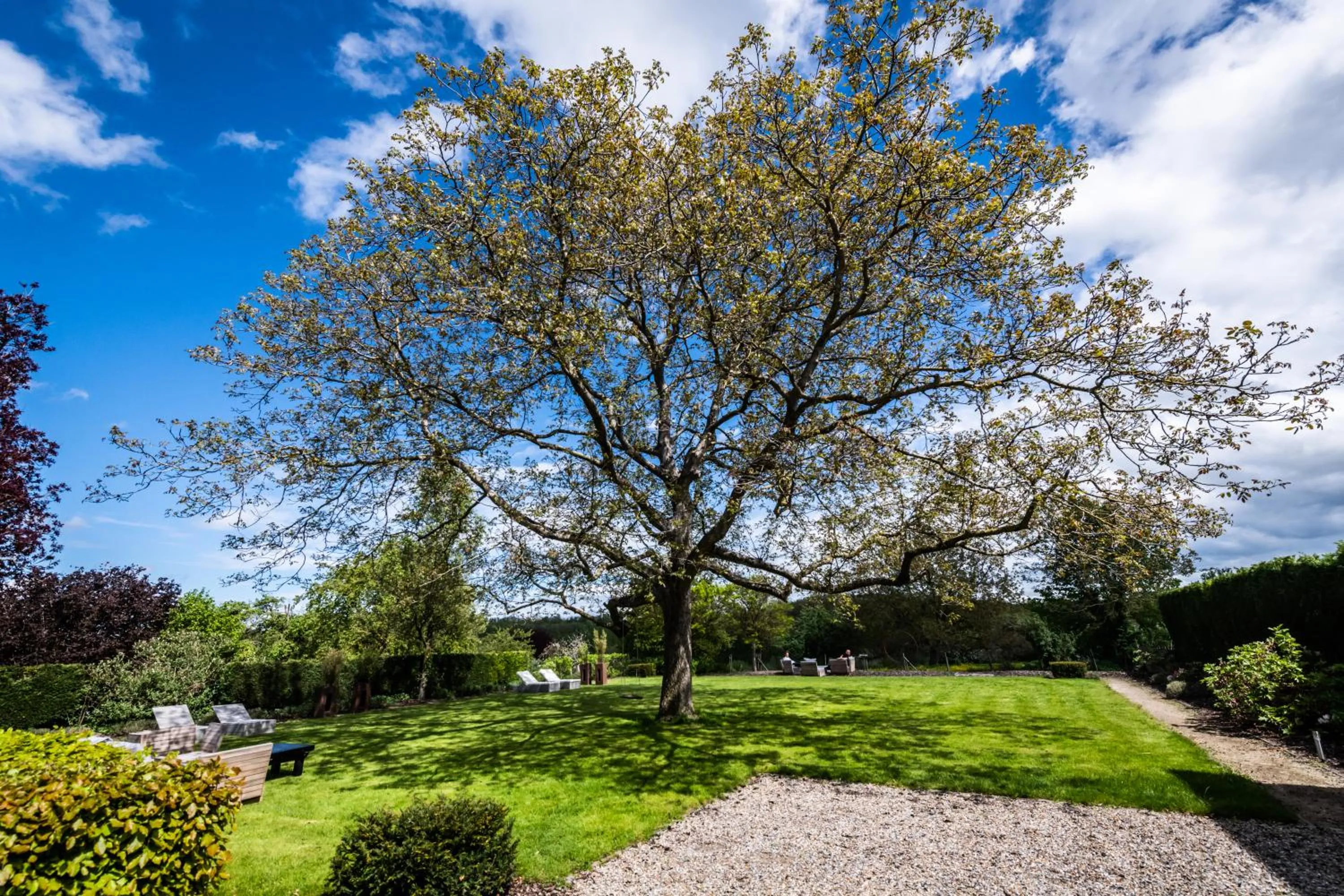 Garden in Rue Haute by M&M 4 sterren bed en breakfast vlakbij Maastricht