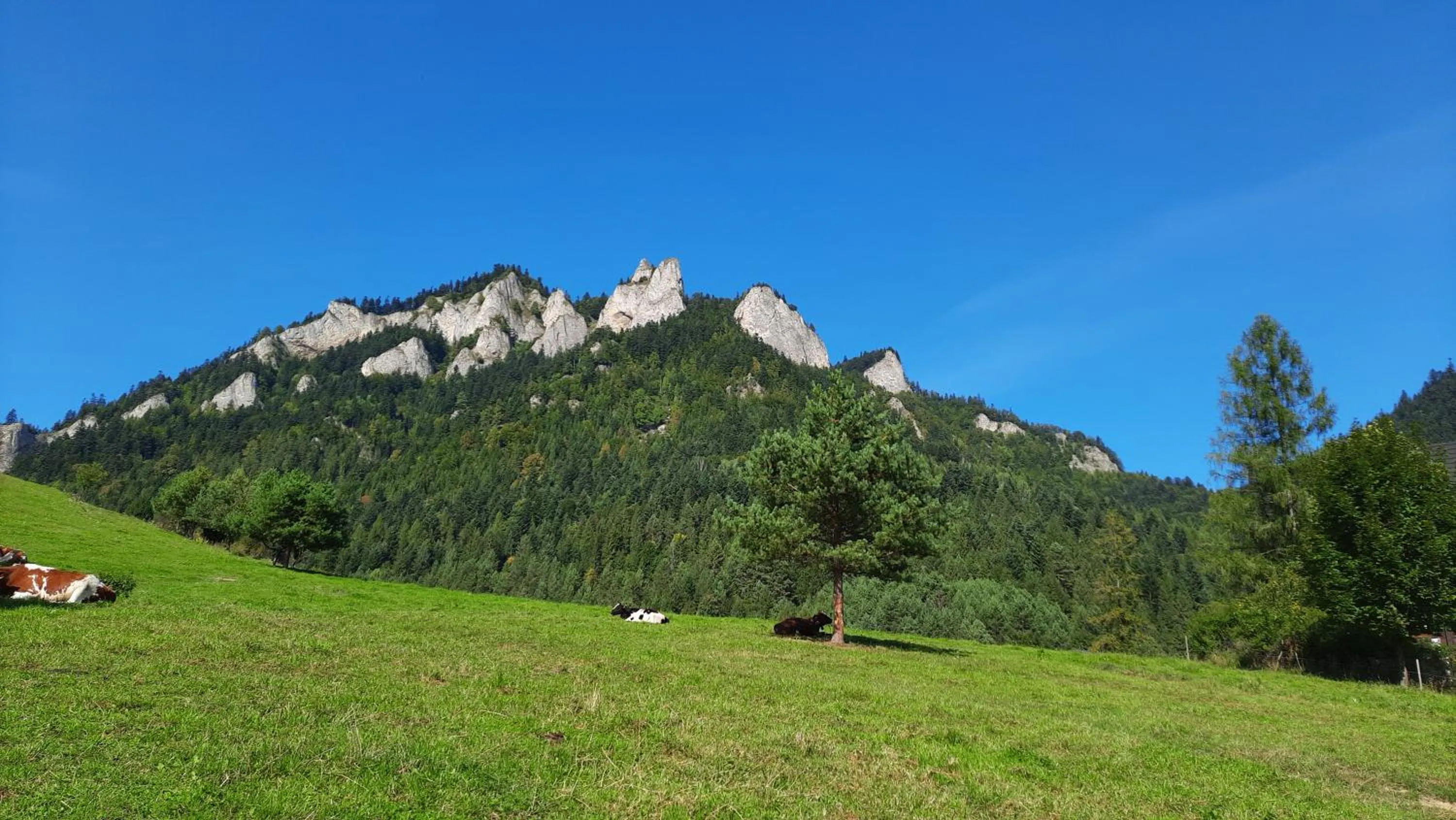 Nearby landmark in Willa Pod Kolejką