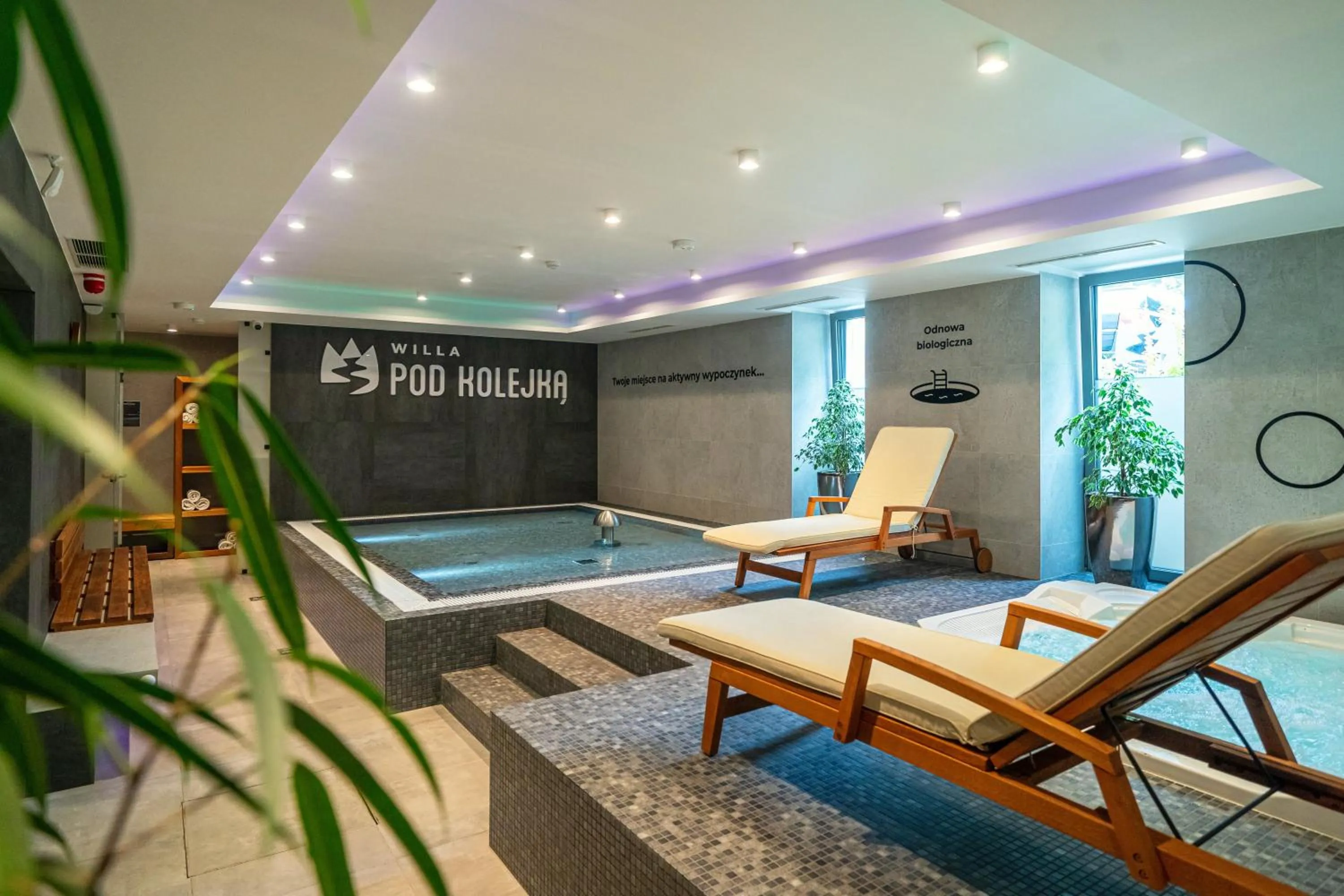 Pool view in Willa Pod Kolejką