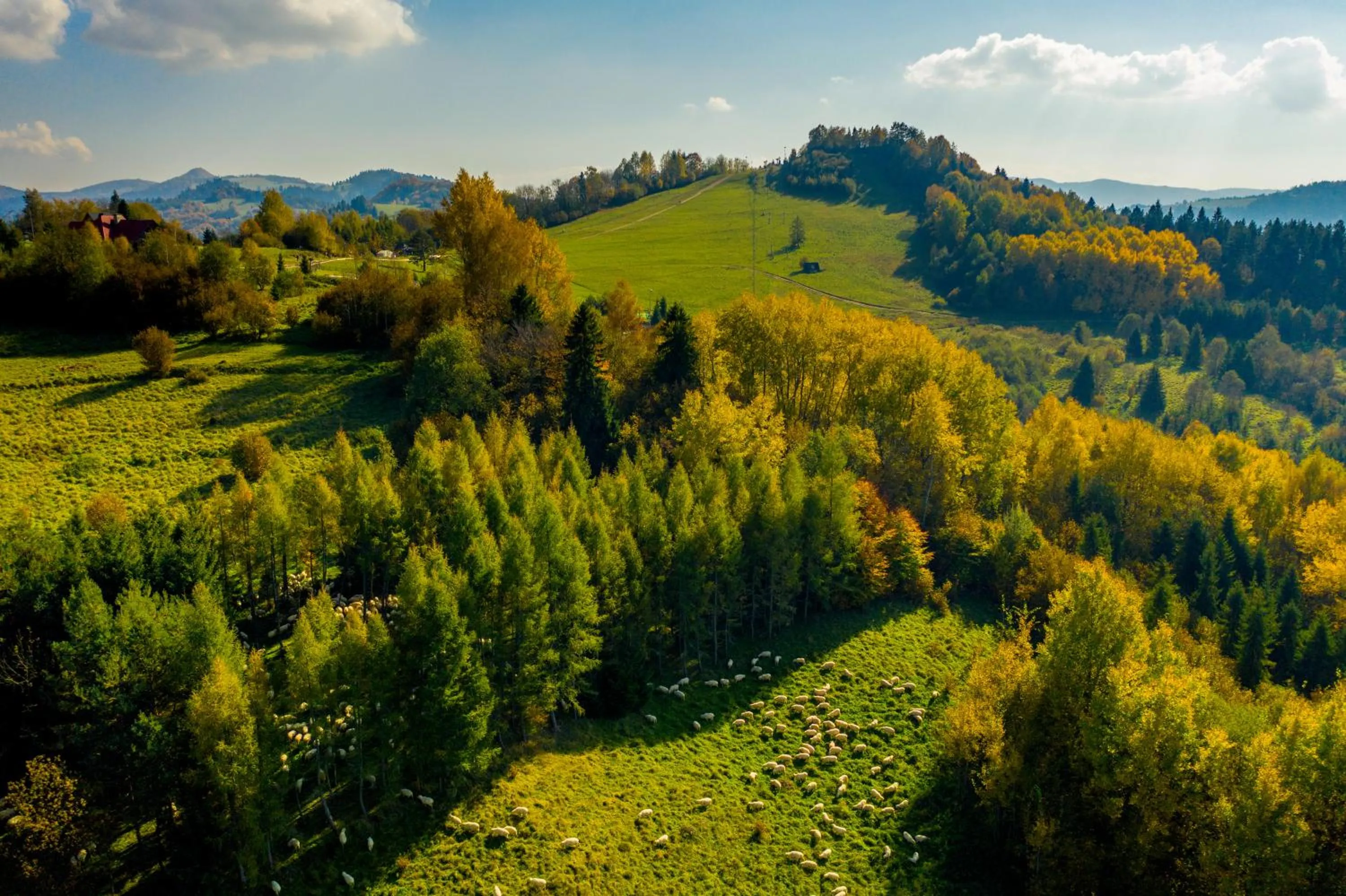 Mountain view in Willa Pod Kolejką