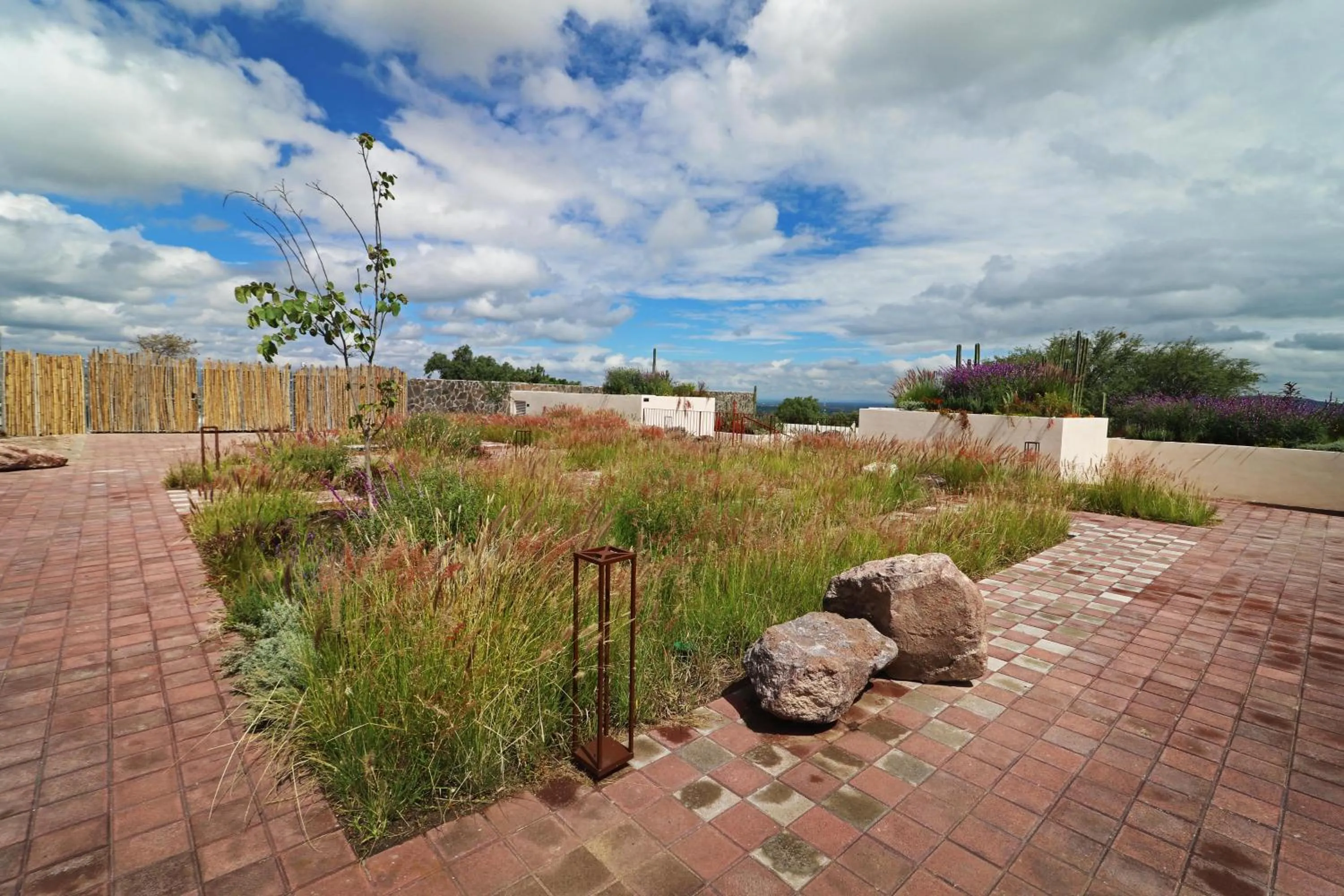 Inner courtyard view in Albor San Miguel de Allende, Tapestry Collection by Hilton